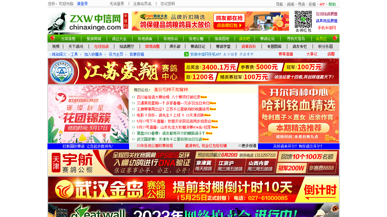 中国信鸽信息网