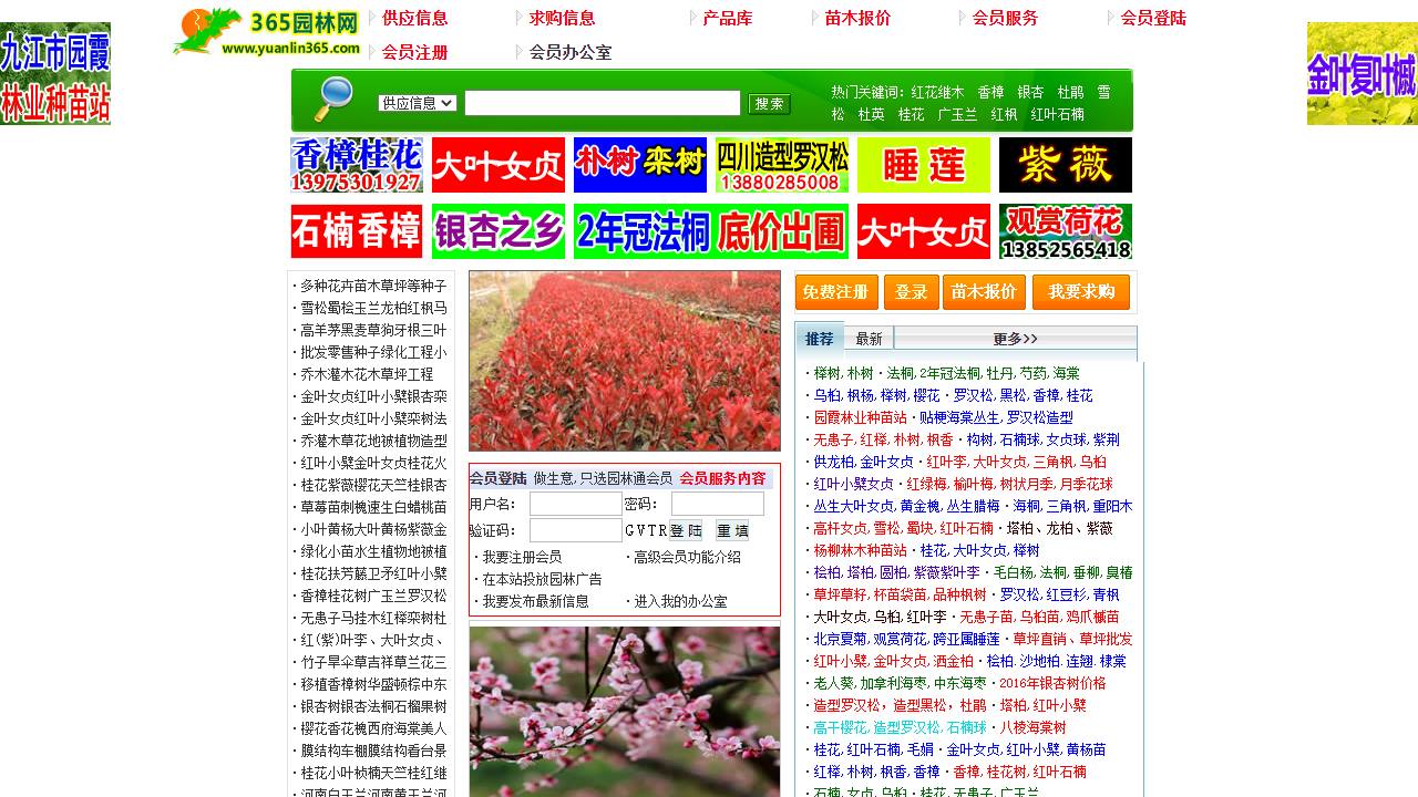 中华园林网