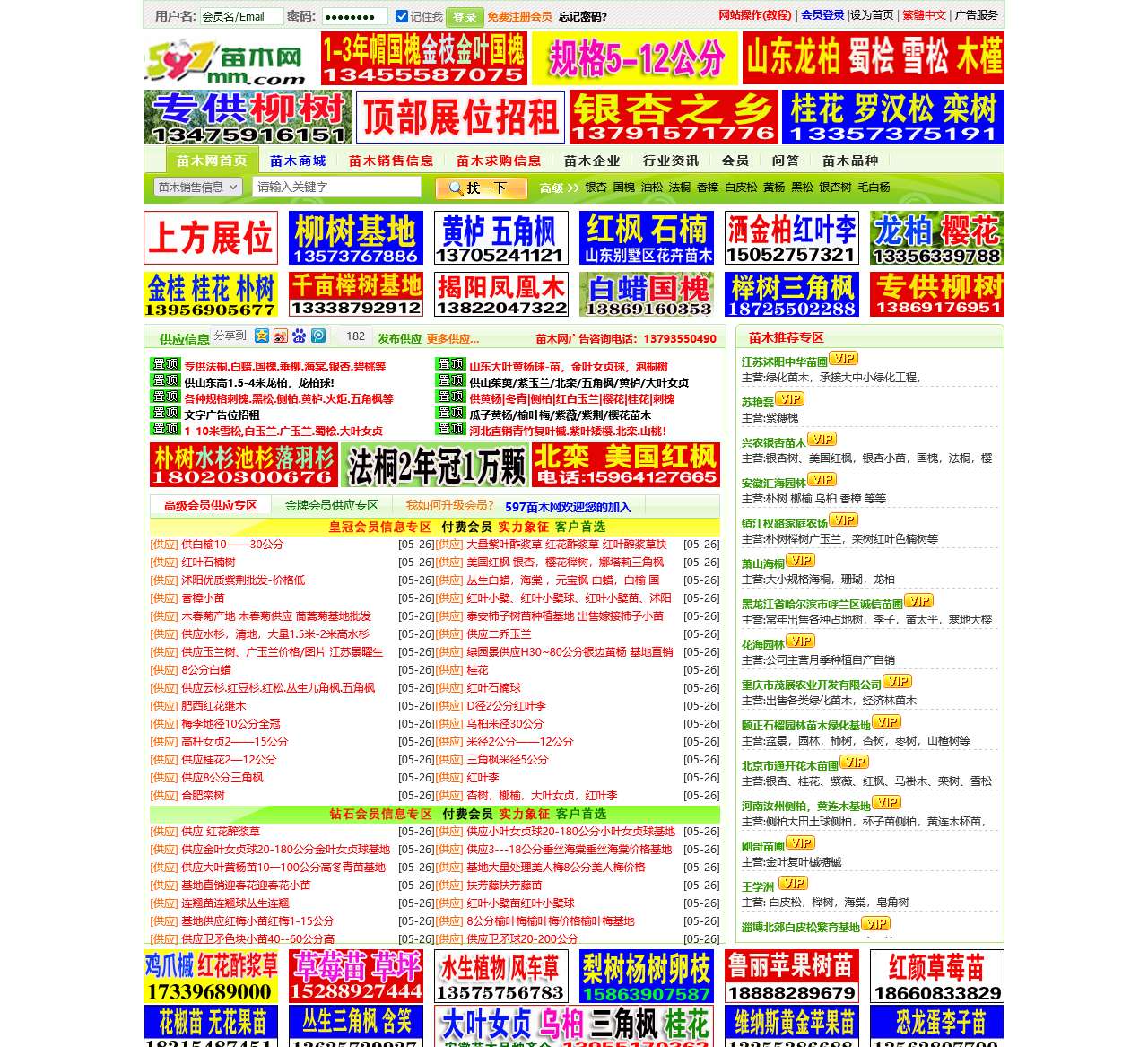 597苗木网