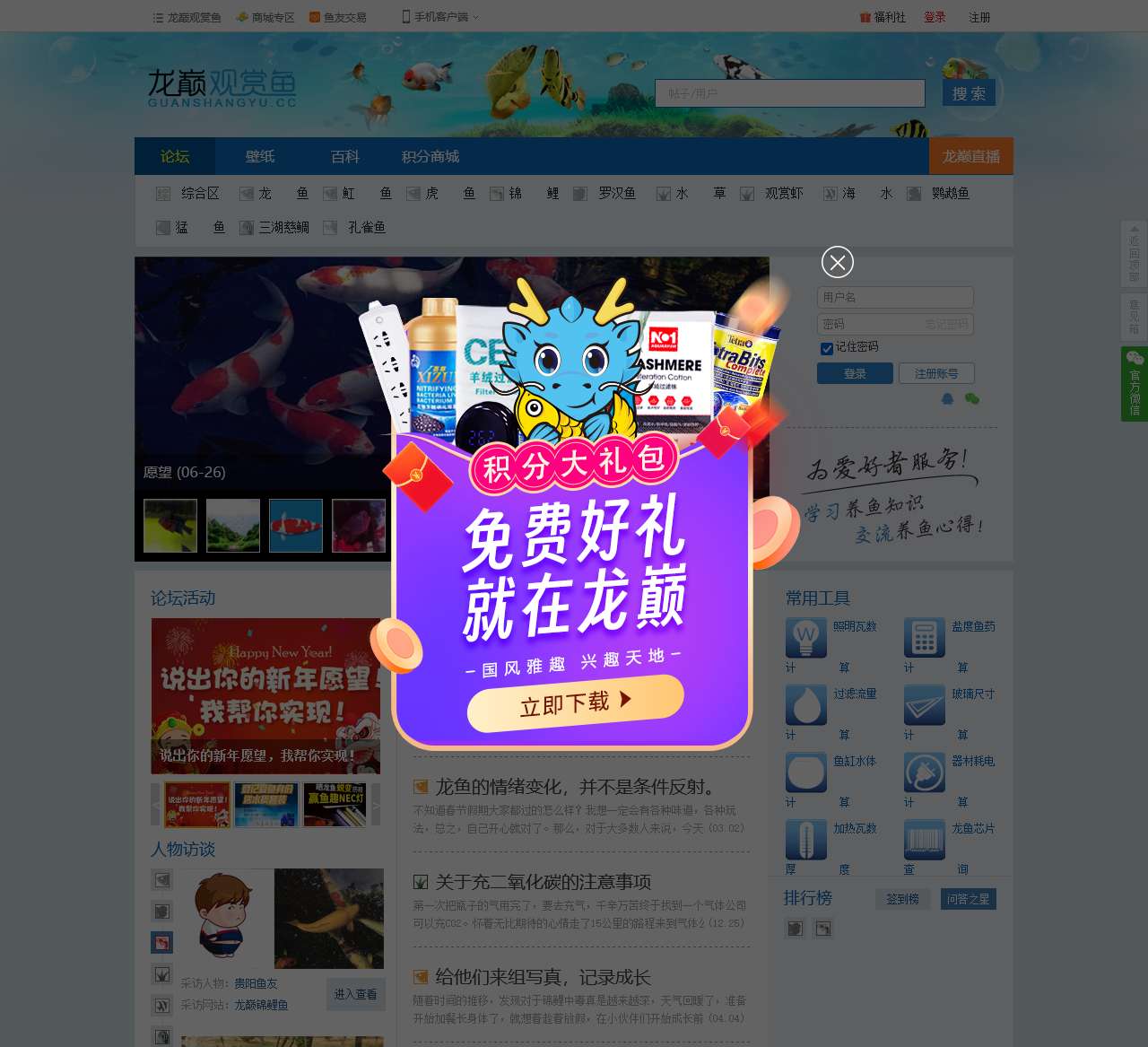 龙巅观赏鱼
