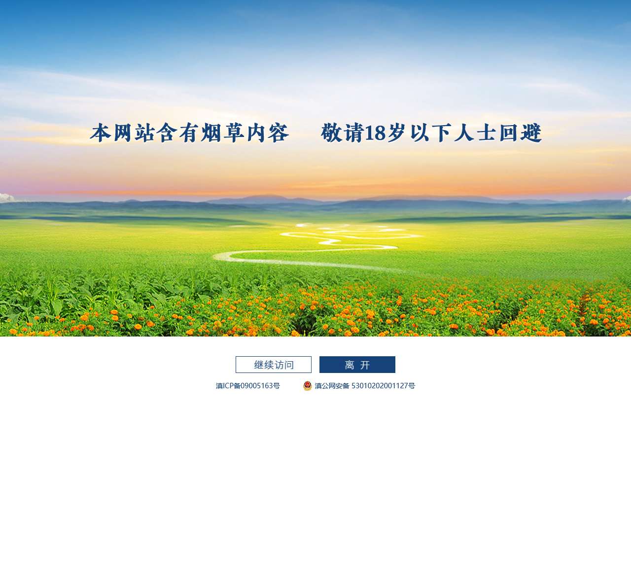 红云红河集团
