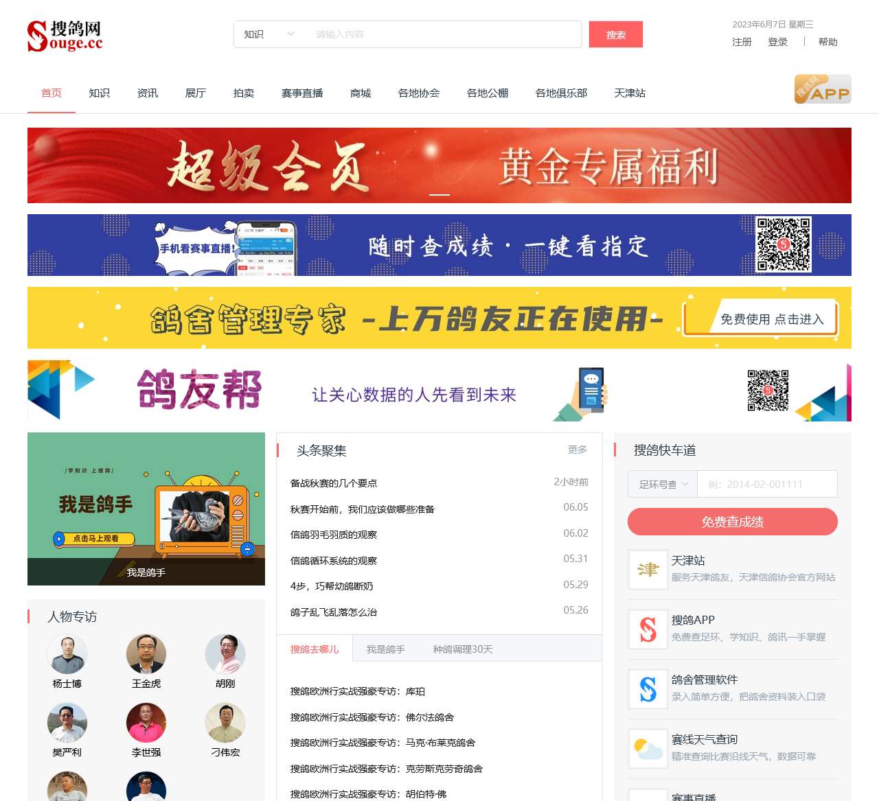搜鸽网