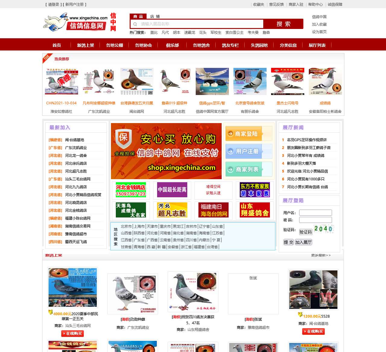 信鸽中国
