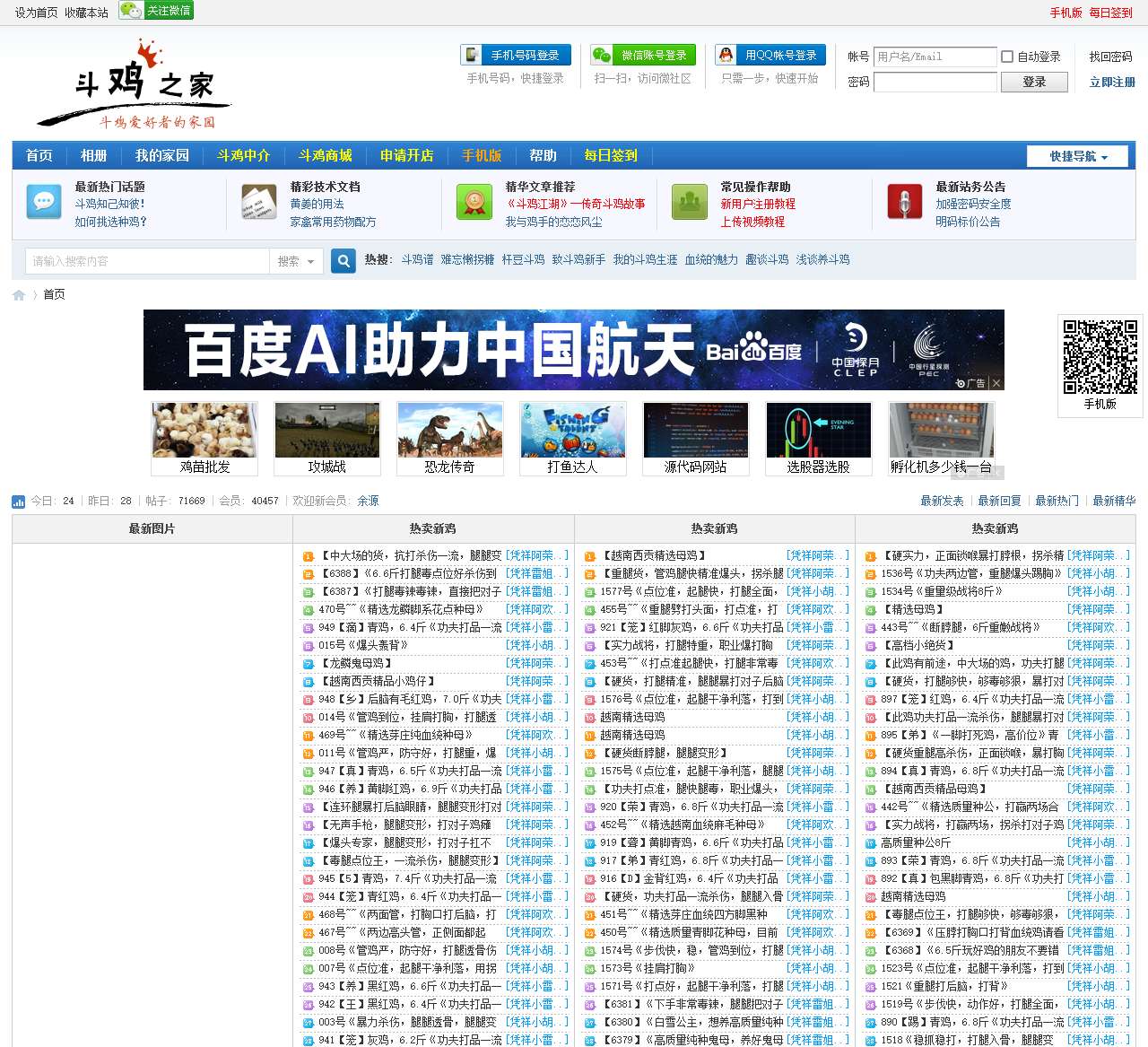 中国斗鸡论坛