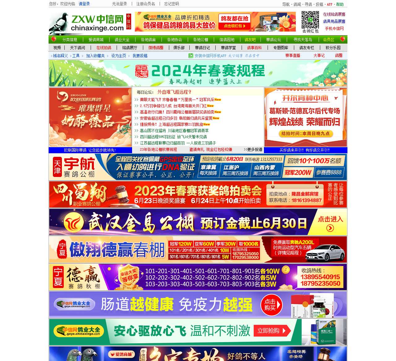 中国信鸽信息网信鸽园地栏目