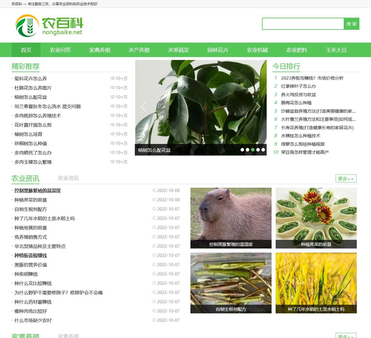 农百科-专注服务三农、分享农业百科和农业技术知识