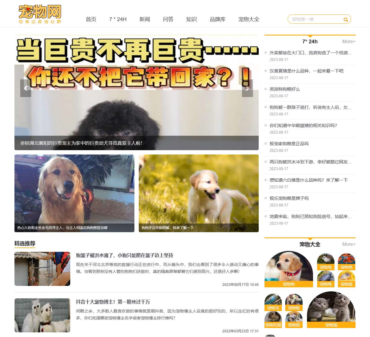 宠物网 您身边养宠社群