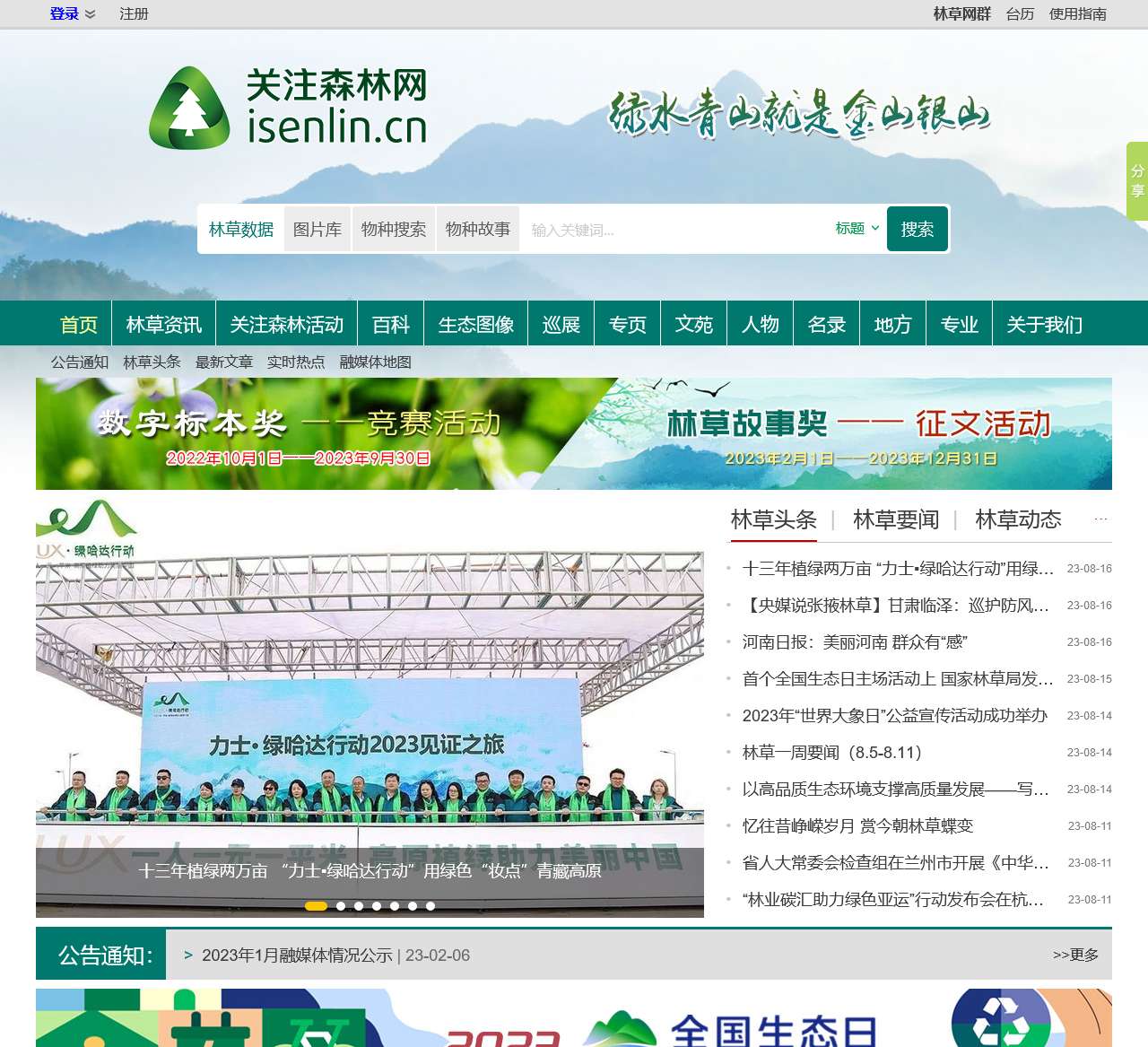 关注森林