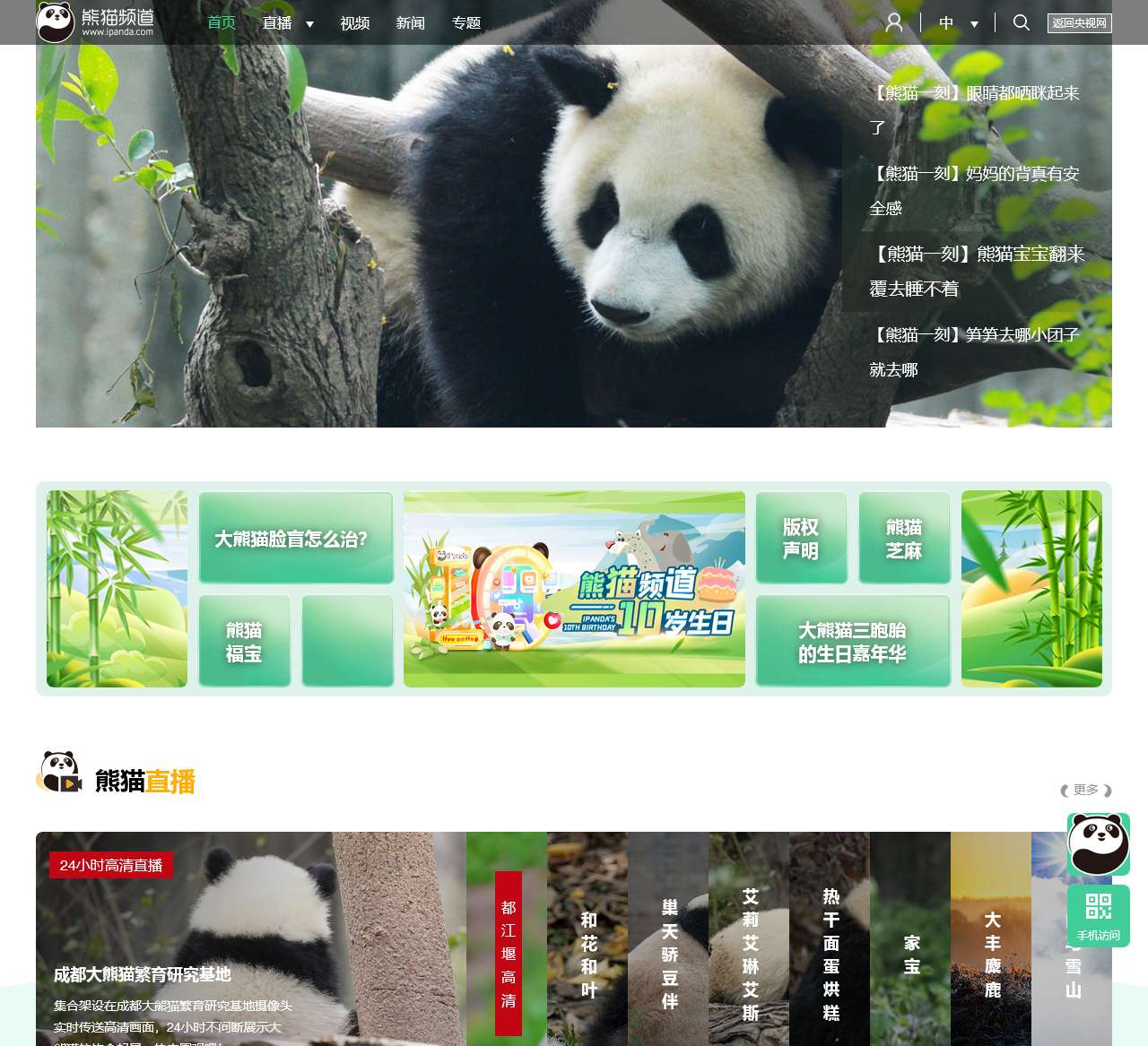 熊猫频道_央视网