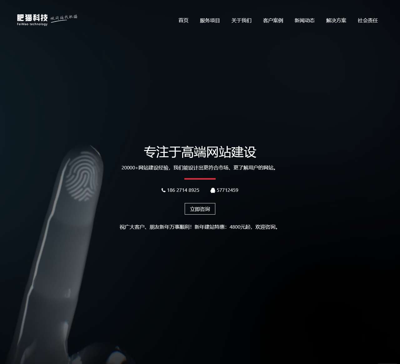 武汉网站建设_网页设计制作_做网站的公司 - 肥猫,高端建站品牌!