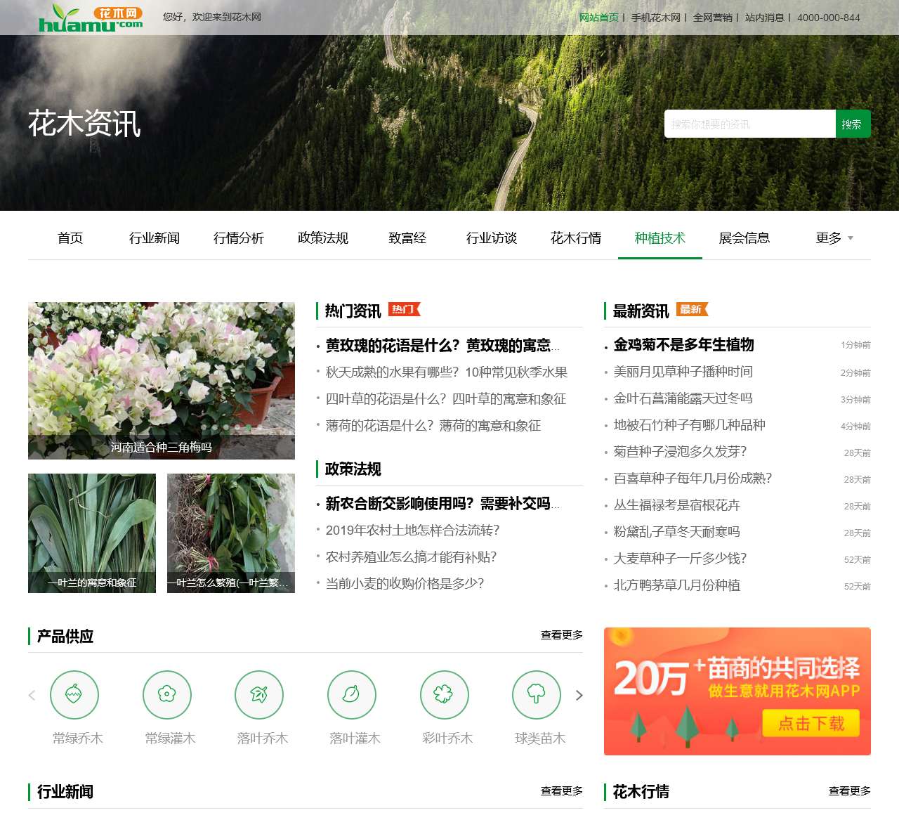 苗木价格行情_花卉苗木知识_花木种植技术 - 花木网