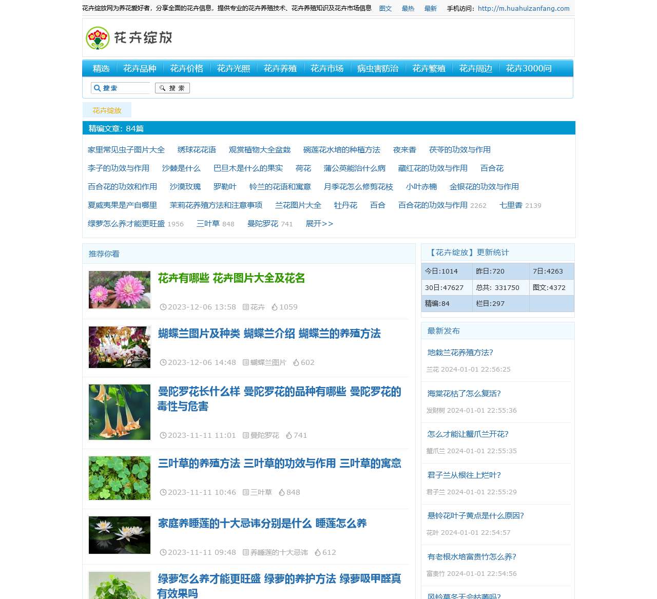 花卉绽放