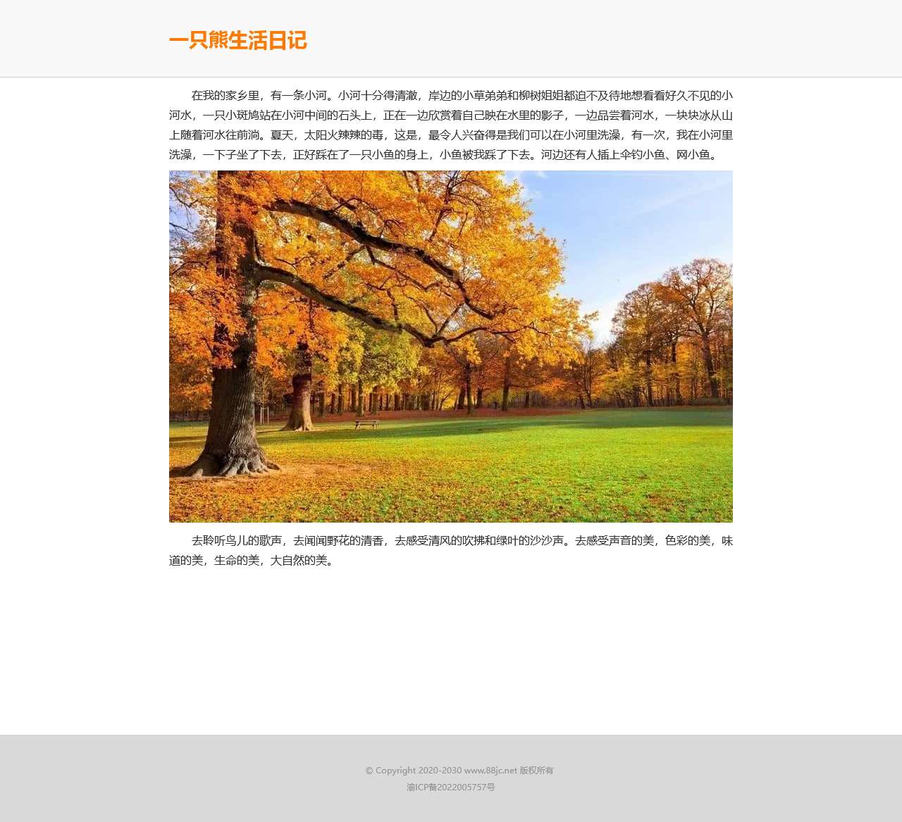 一只熊生活日记
