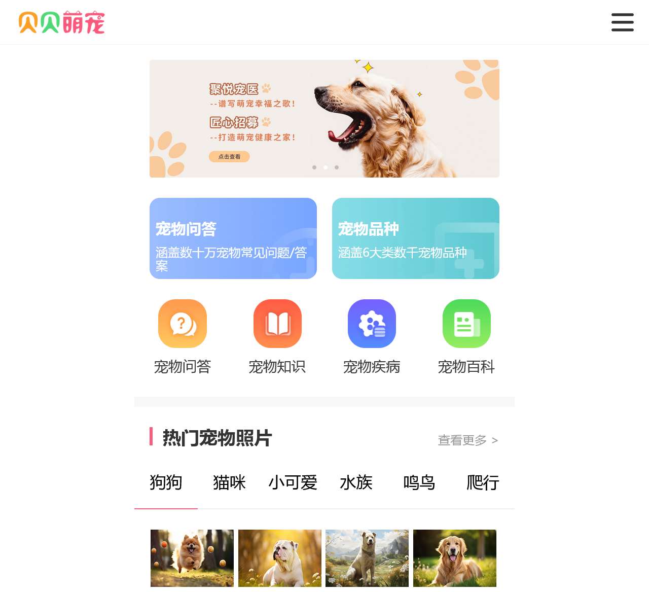 贝贝萌宠-一个专注宠物问题研究的问答平台