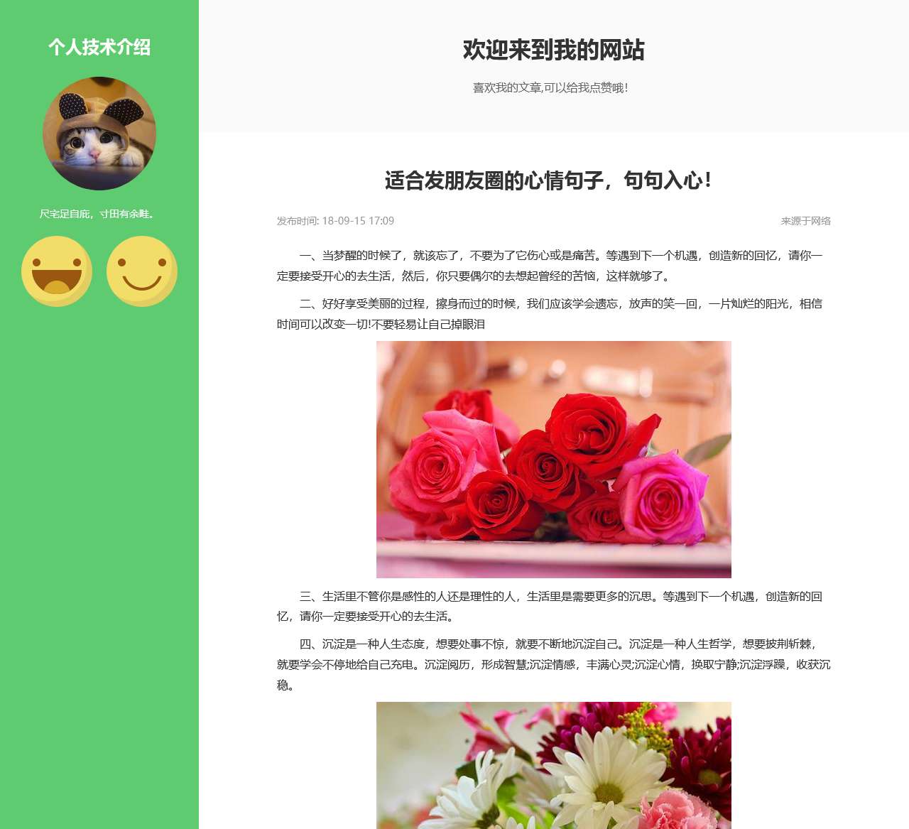 个人技术介绍