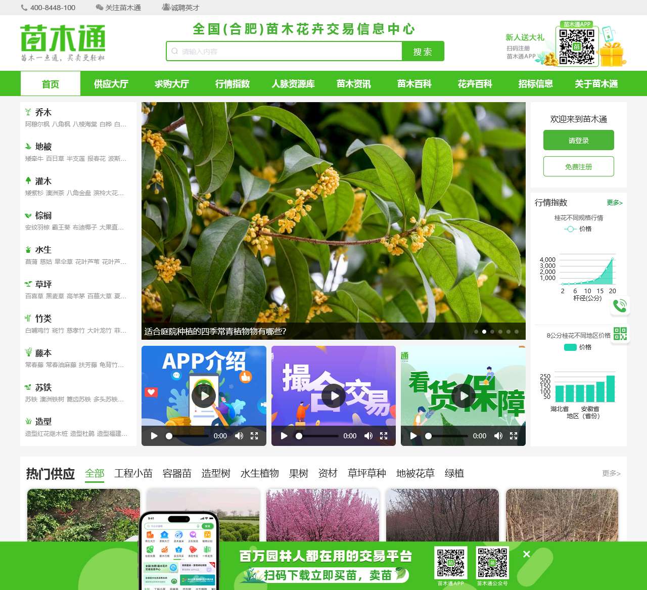 苗木通-苗木一点通,买卖更轻松。园林花卉苗木买卖交易行业一站式服务网站平台。
