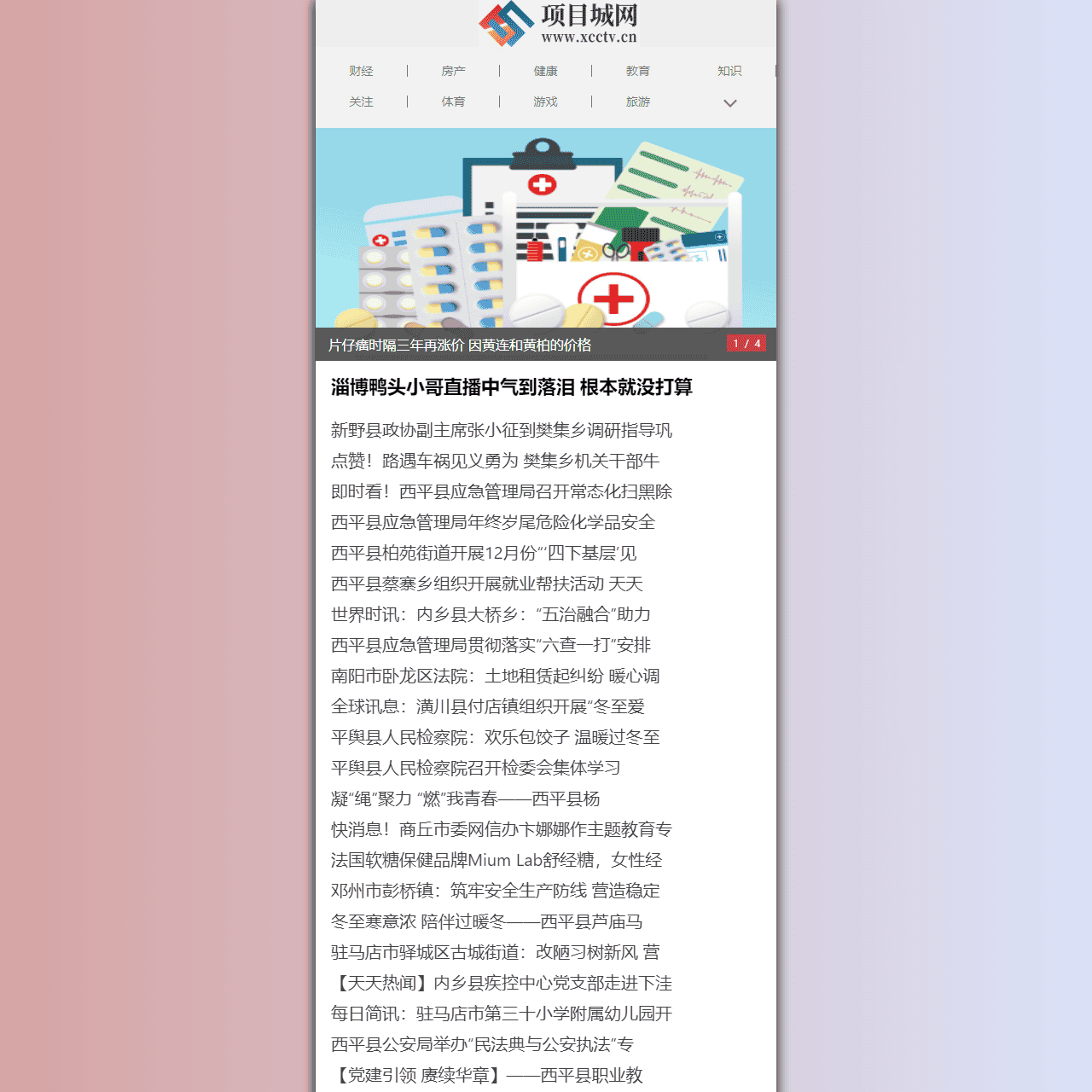 项目城网