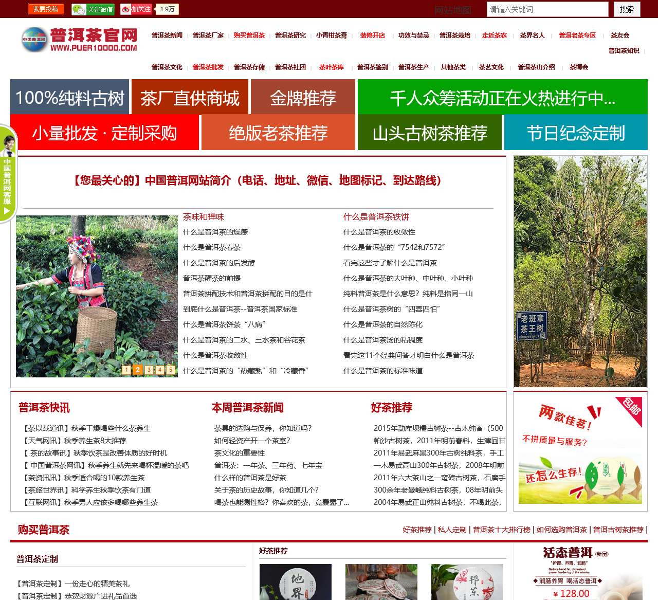 普洱茶官方网站(普洱茶网)