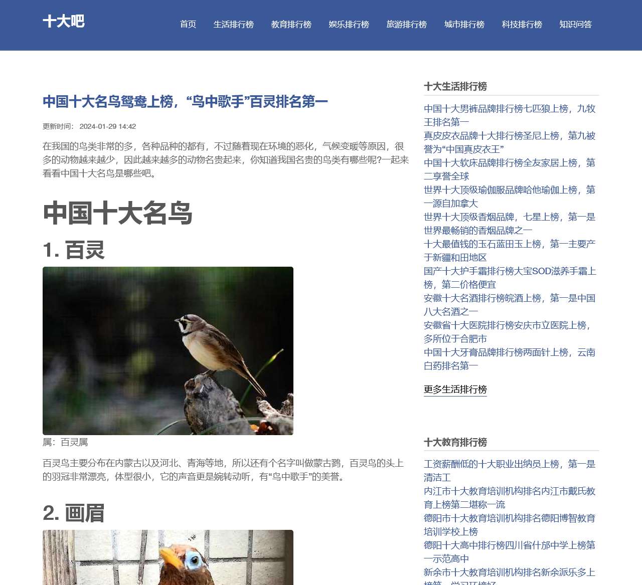 十大吧-与你分享2024最新十大热门人气排行榜,品牌排行榜