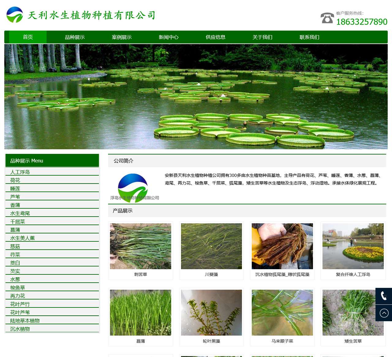 水生植物_沉水植物_人工浮岛-_浮动湿地-天利水生植物