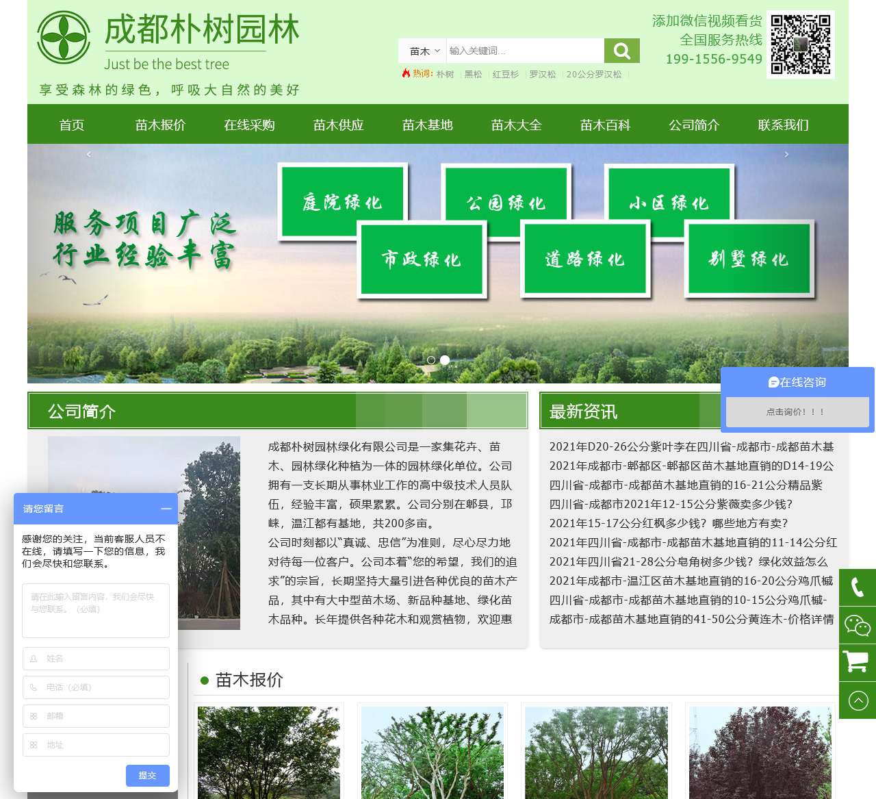 苗木价格-苗木供应批发基地-成都朴树园林绿化有限公司在线采购网