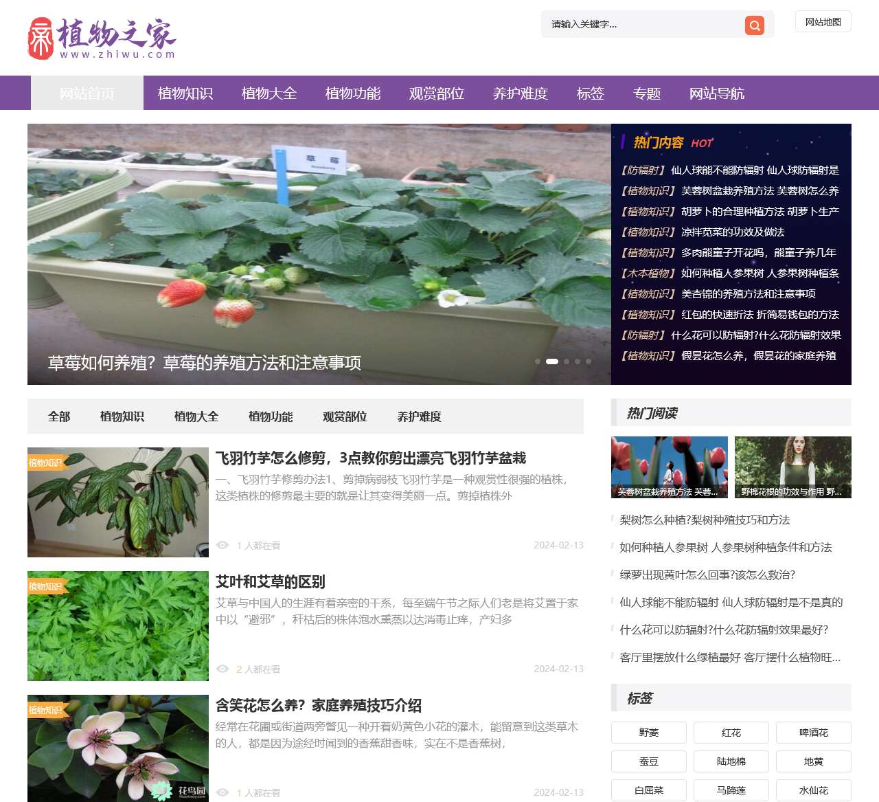 植物之家 - 多肉植物怎么养,多肉植物的养殖方法