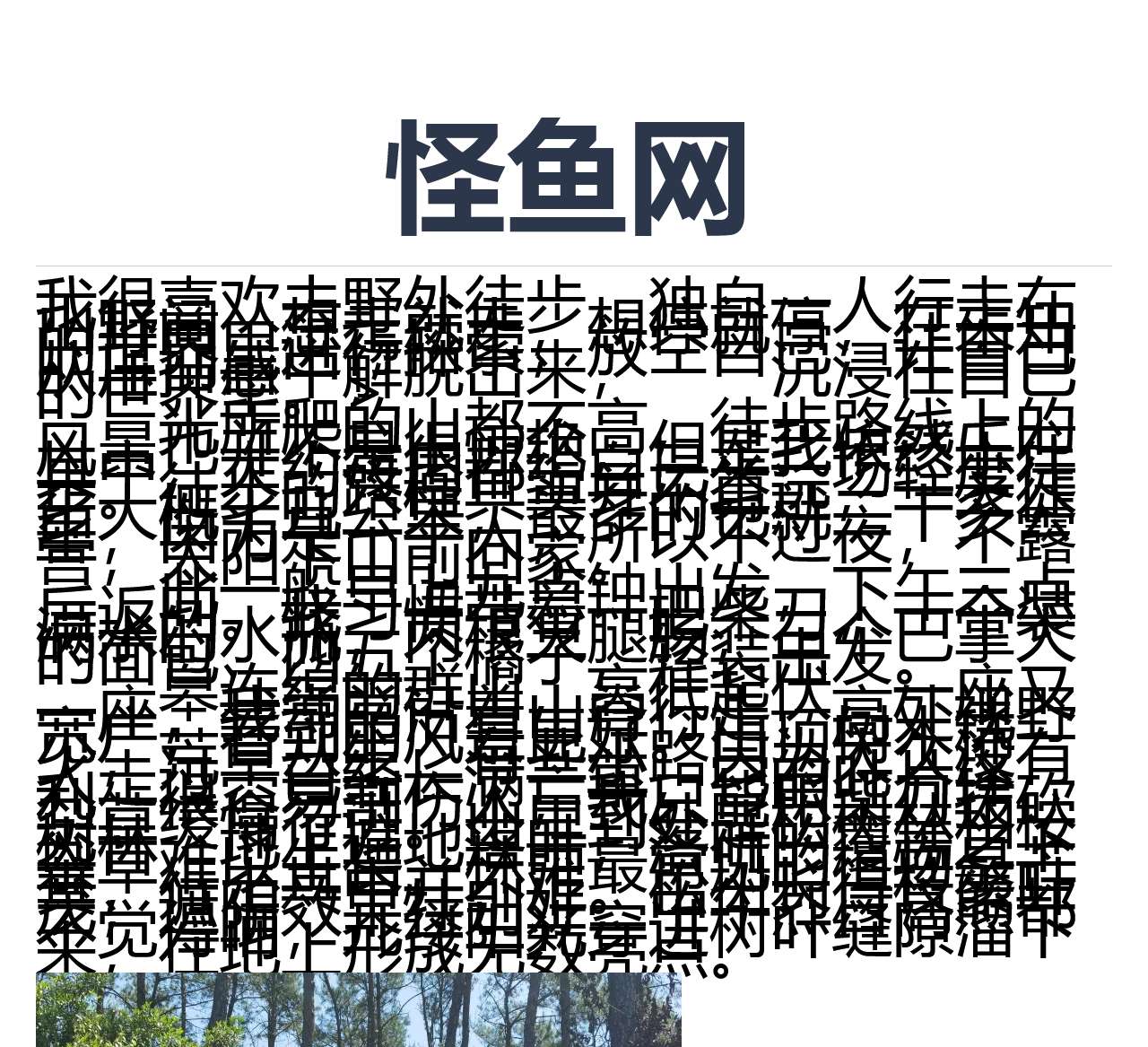怪鱼网