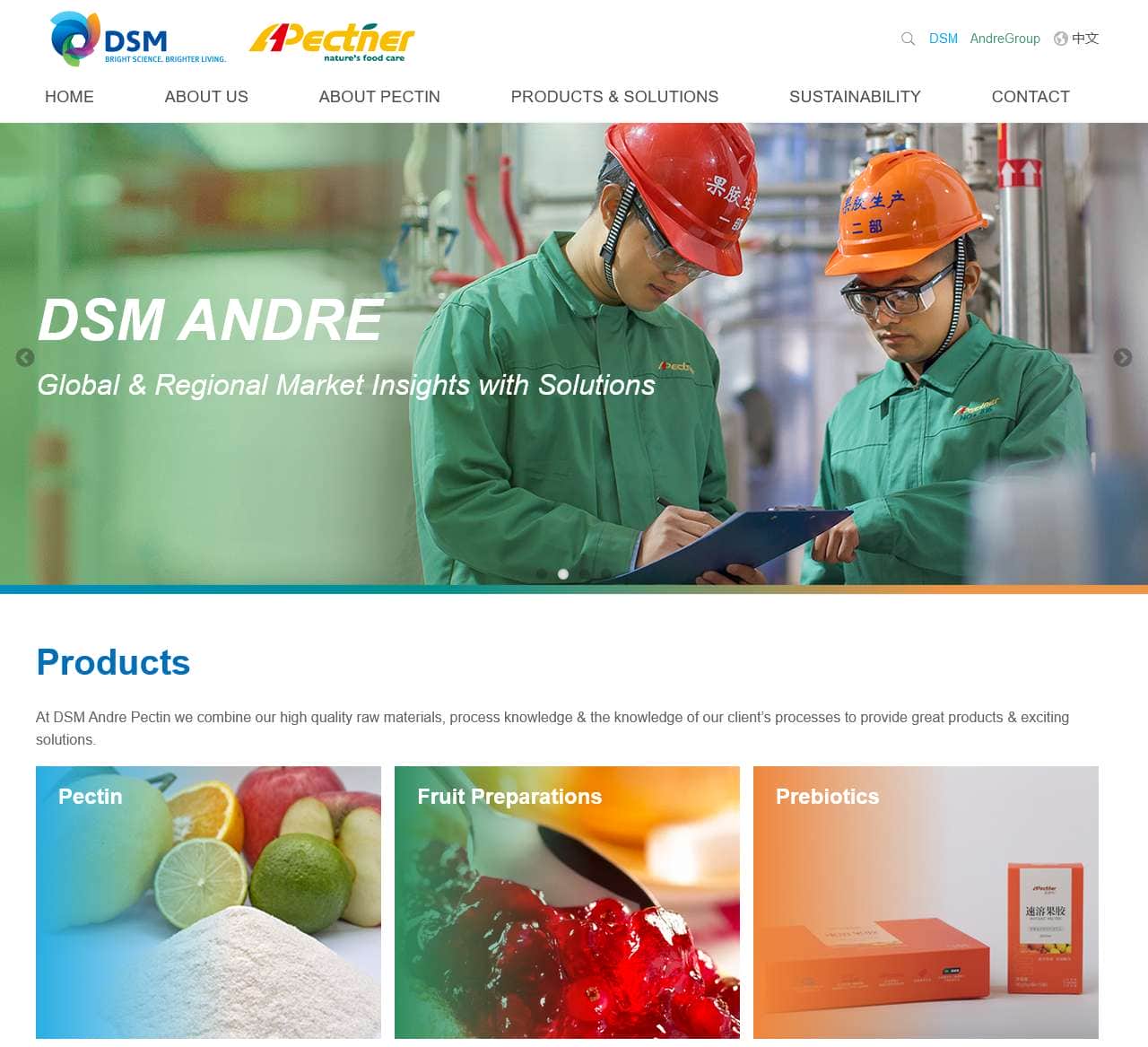 DSM Andre Pectin
