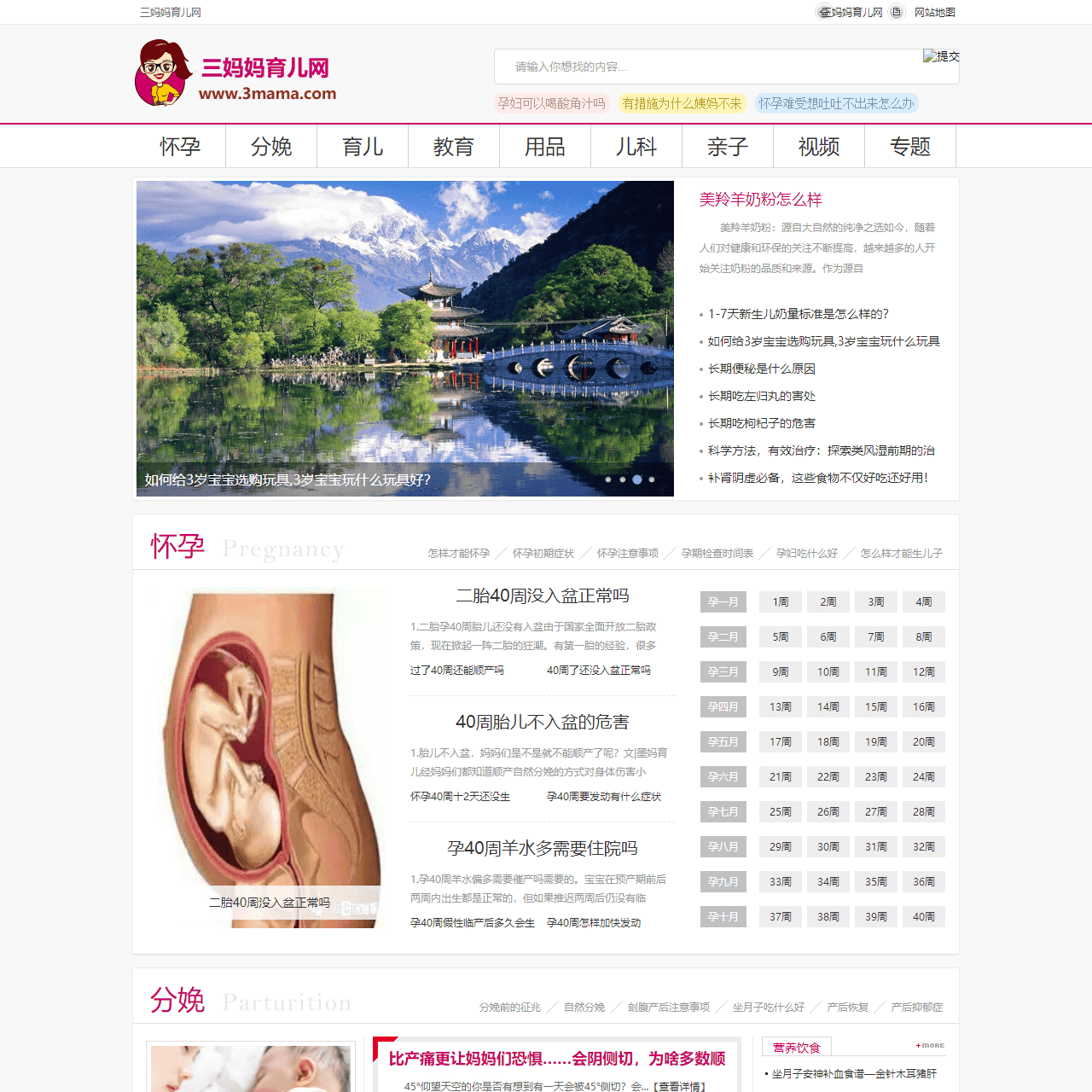 凤毛鸡胆网