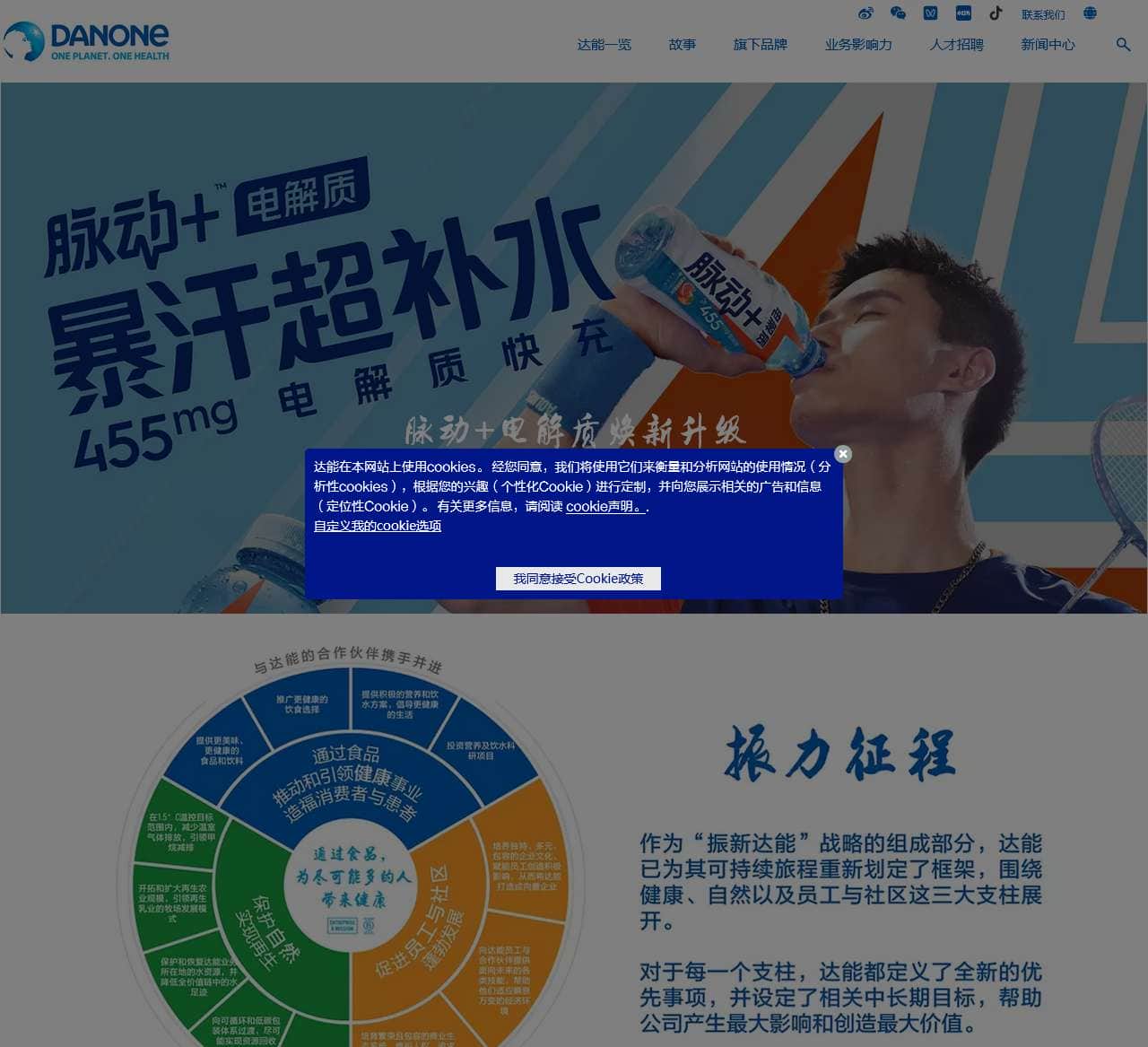 达能,关注健康的跨国食品企业