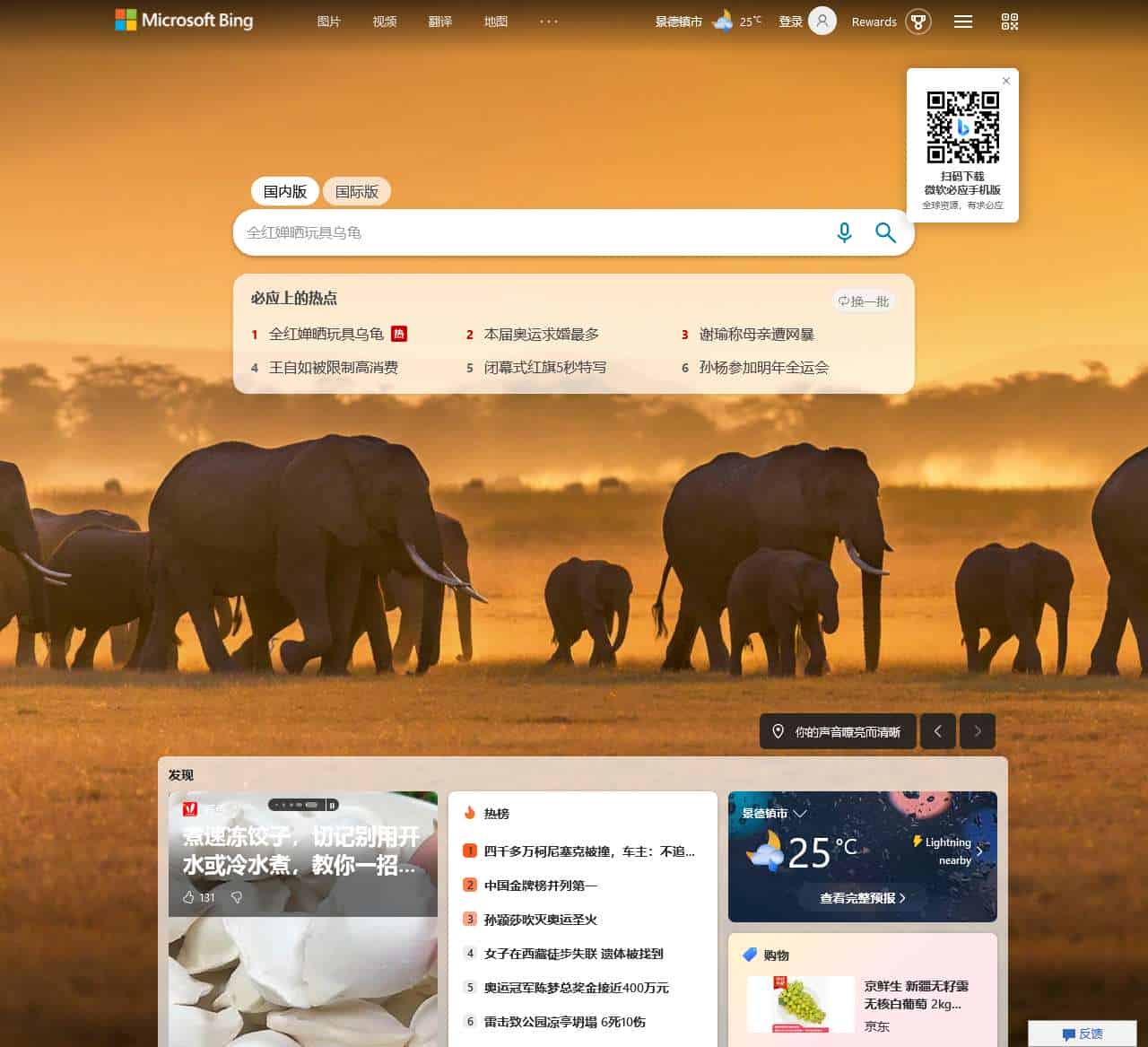 必应
