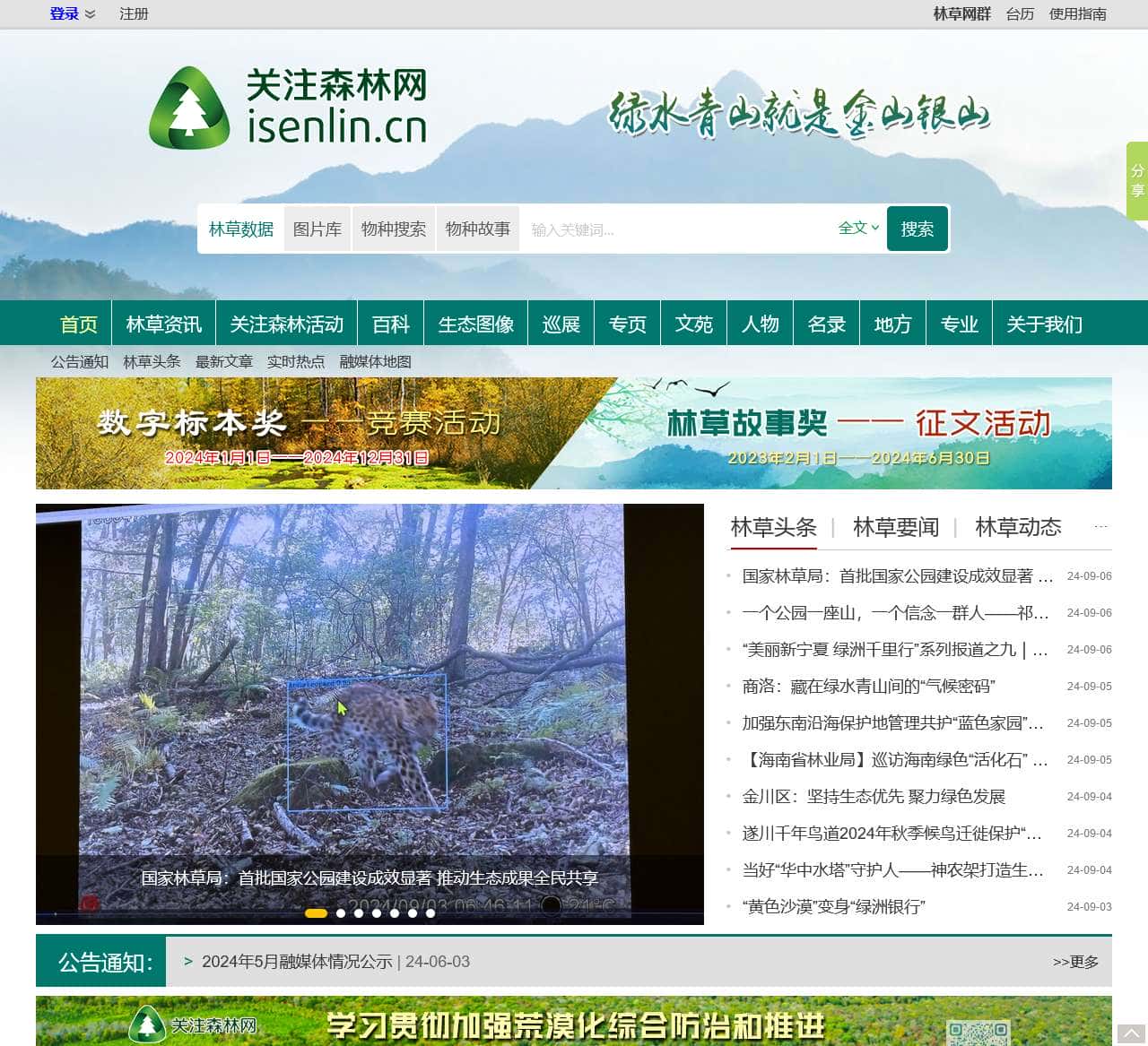 关注森林