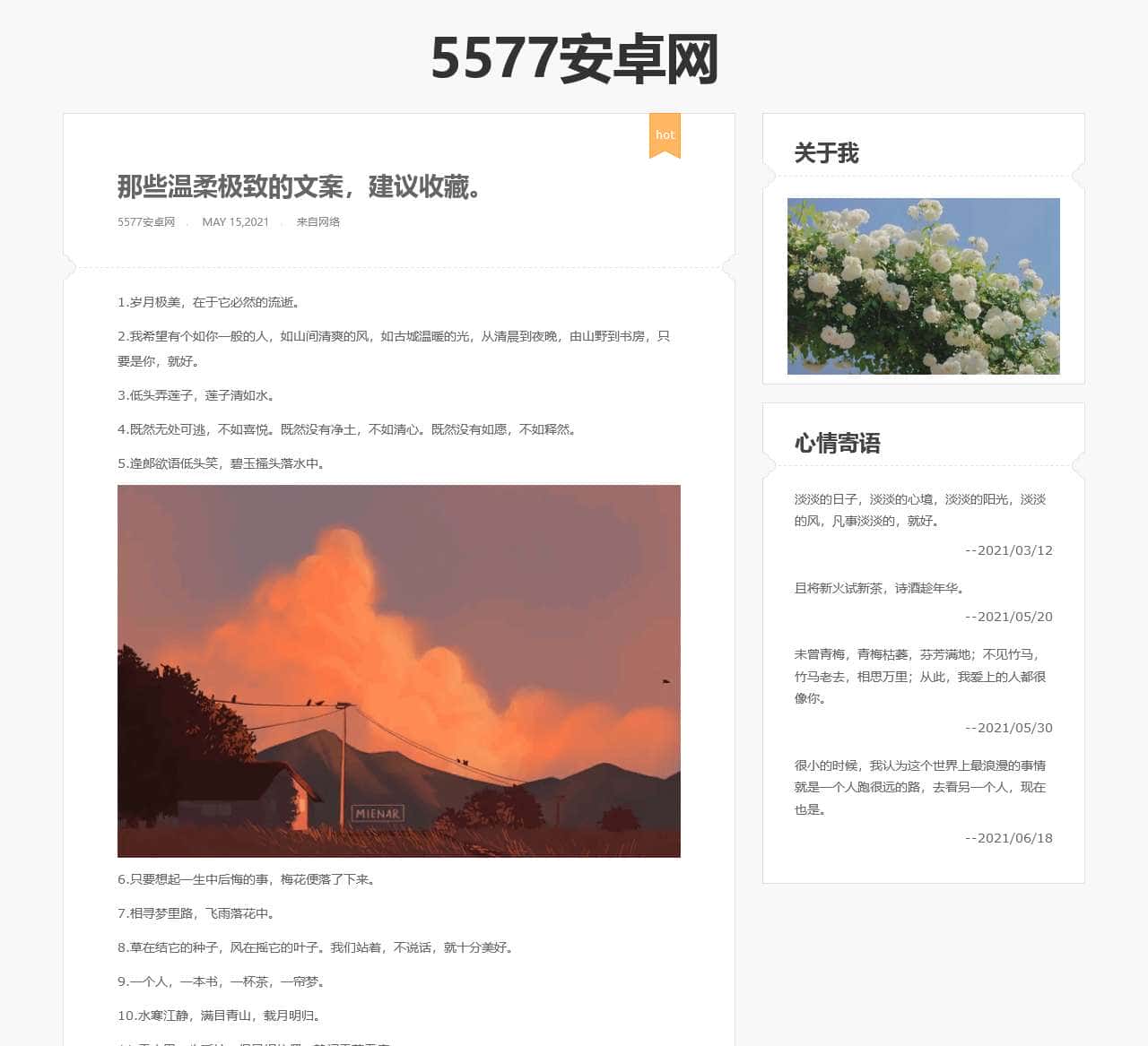 5577安卓网