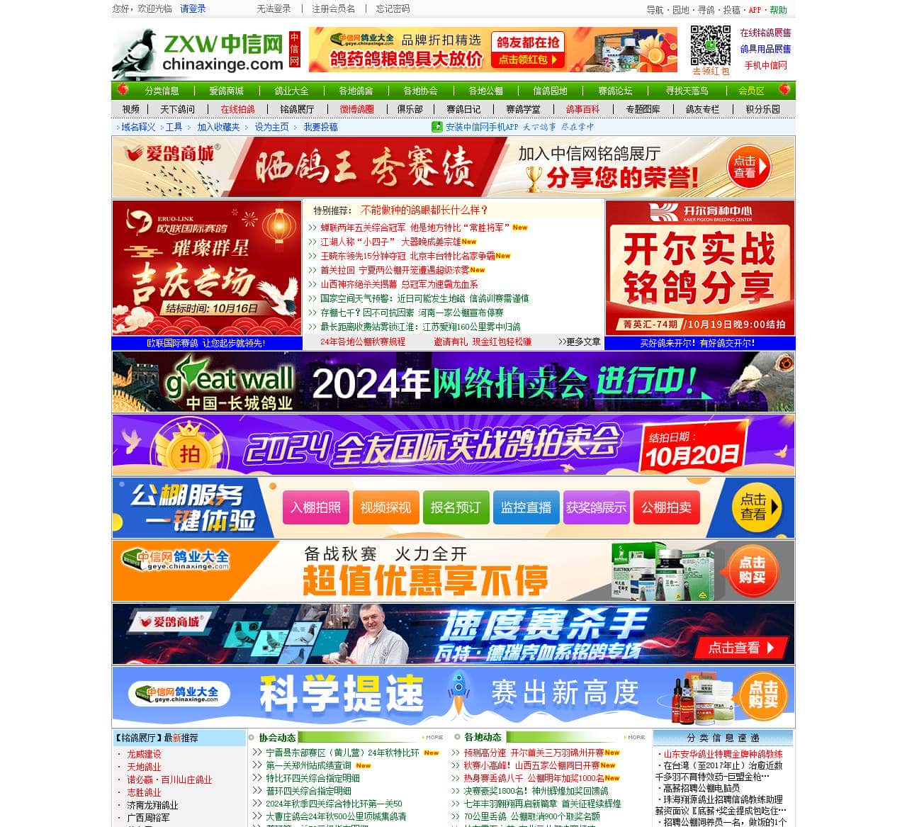 中信网