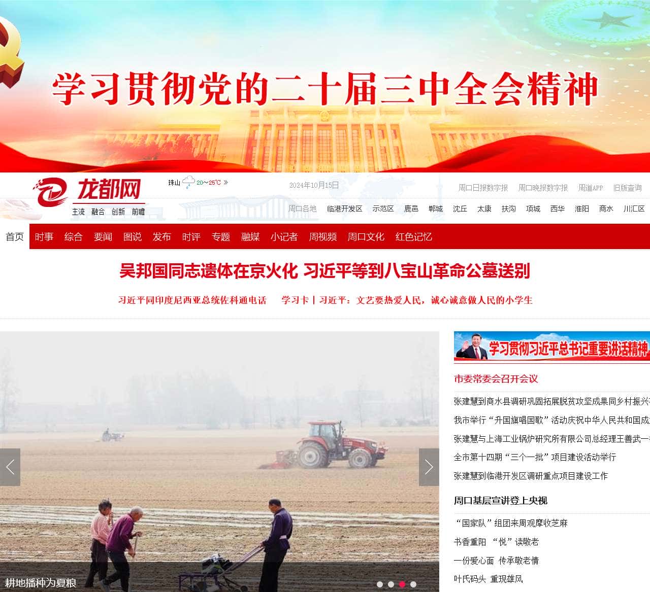 龙都网