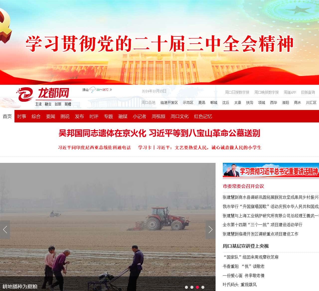 龙都网