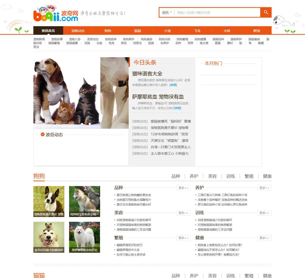 宠物知识,宠物咨询