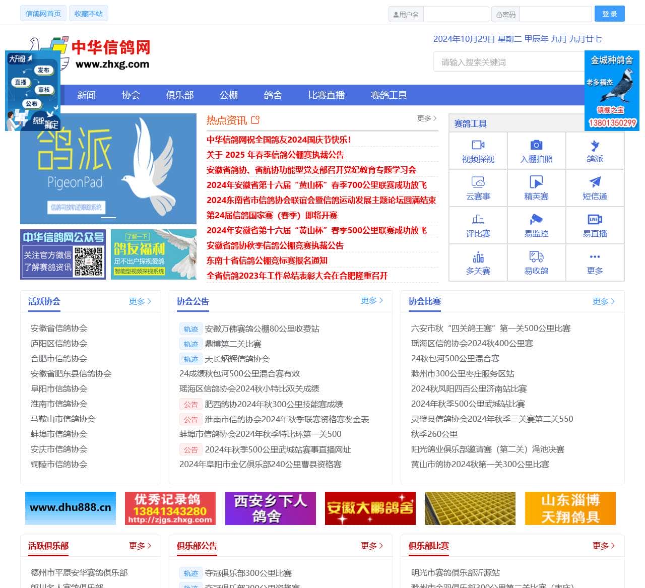 中华信鸽网
