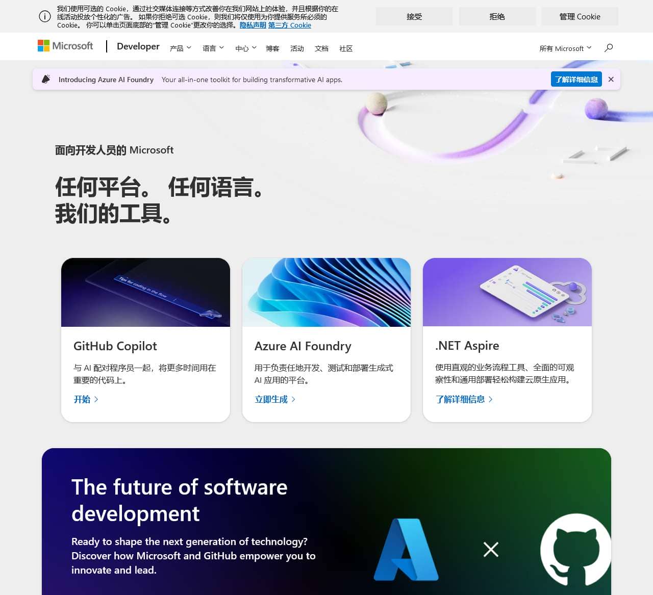 Microsoft Developer