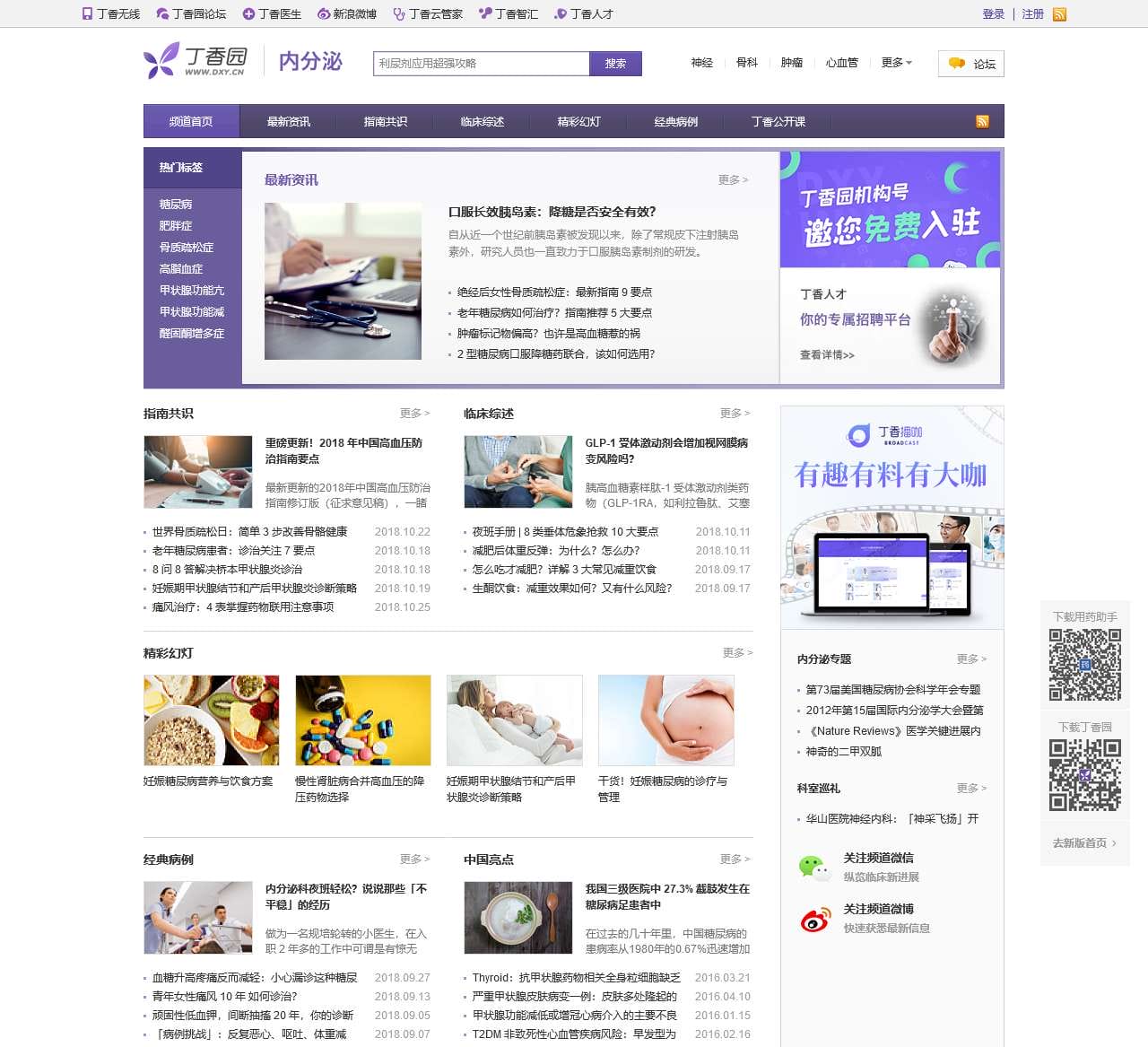 内分泌