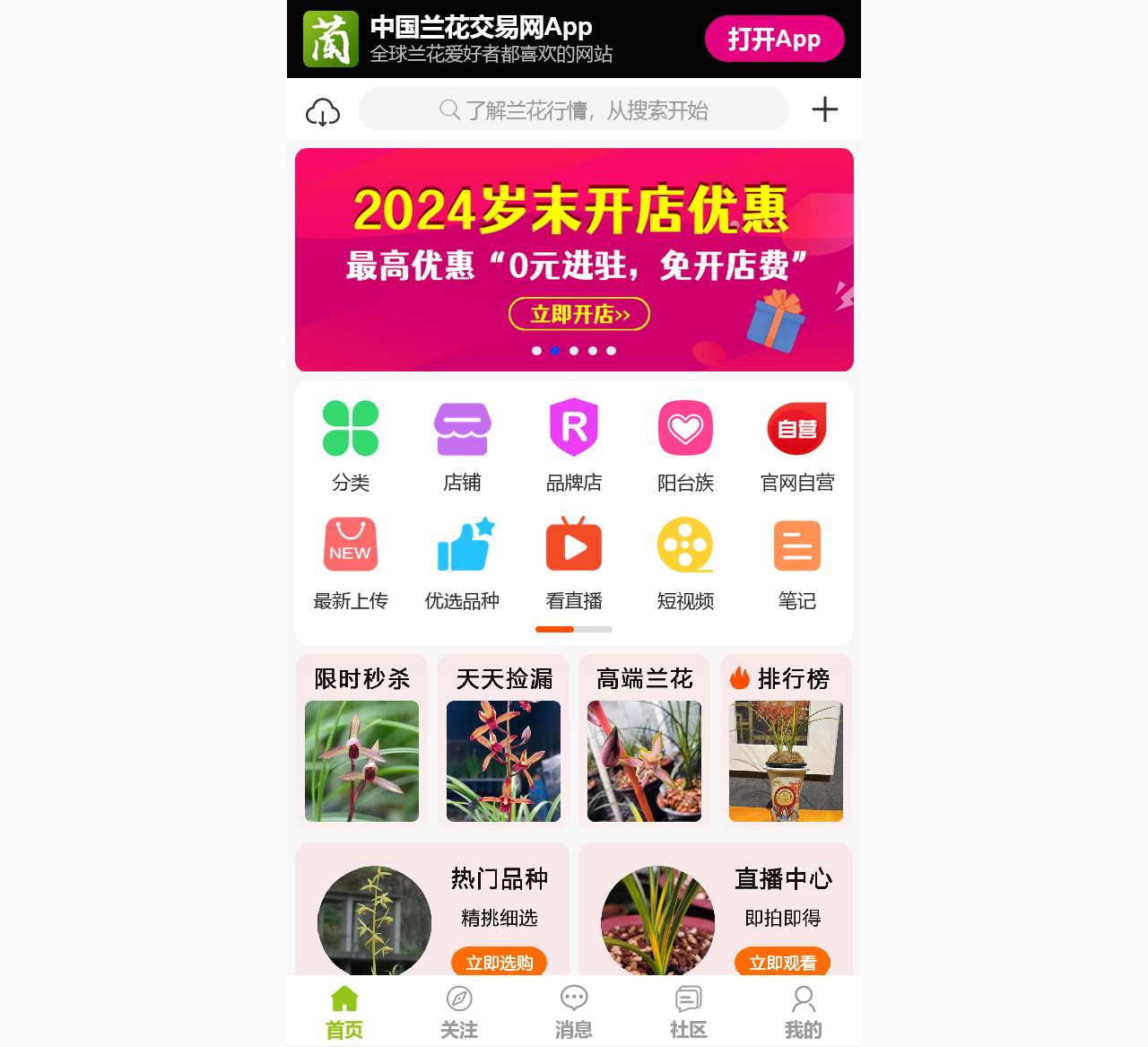 中国兰花交易网