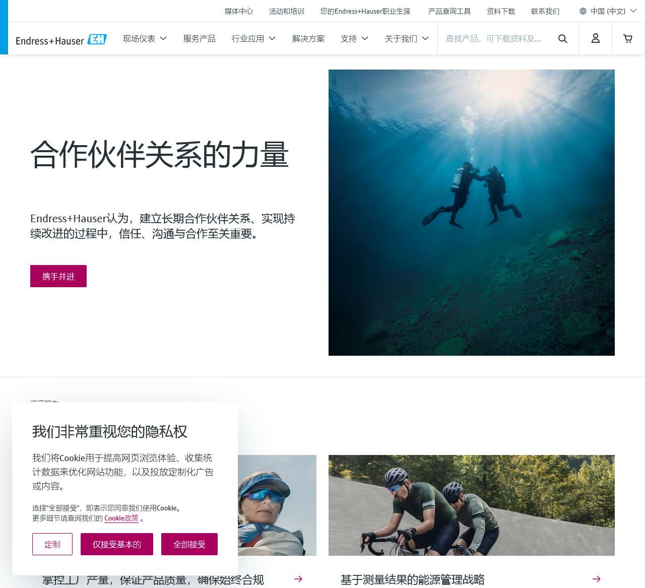恩德斯豪斯官方网站