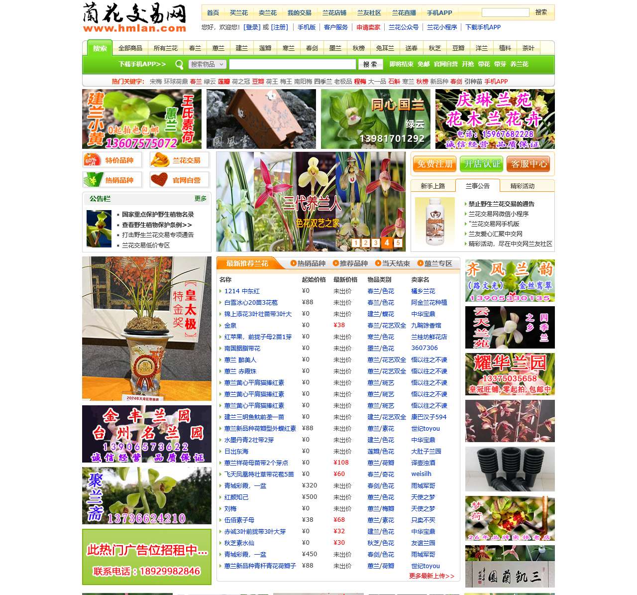 中国兰花交易网