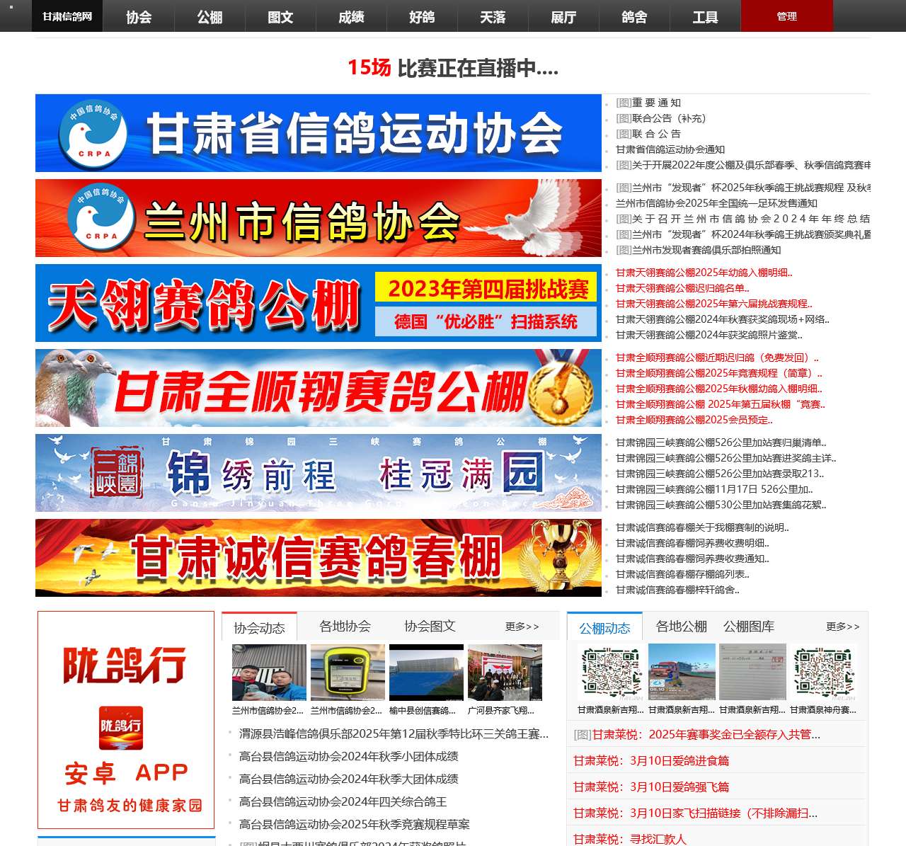甘肃信鸽网
