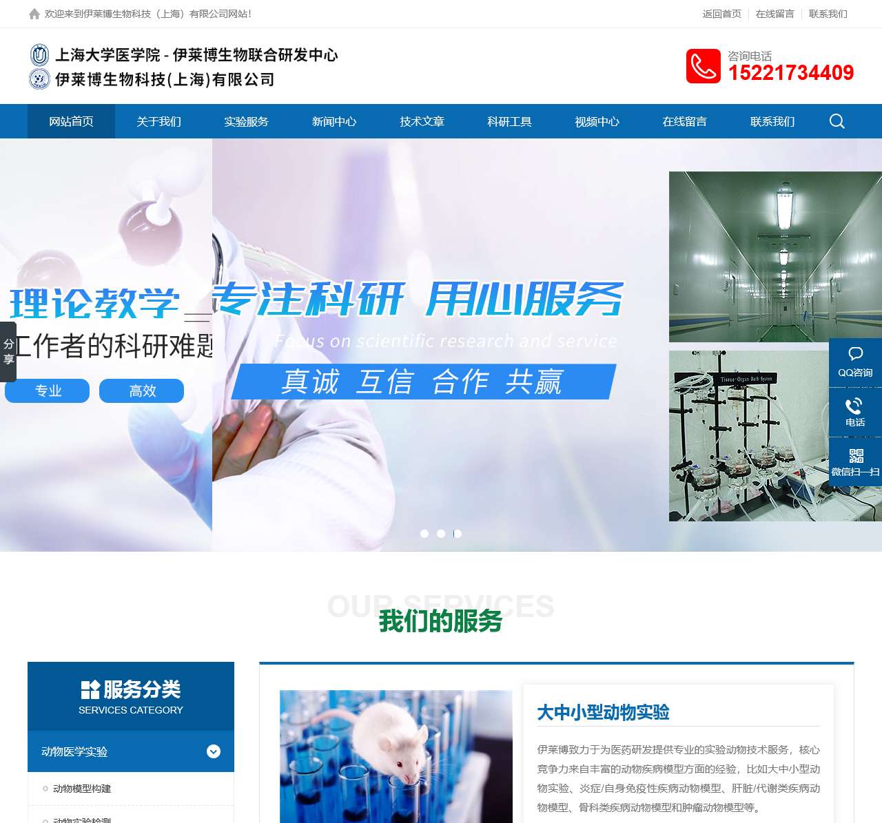 动物模型构建