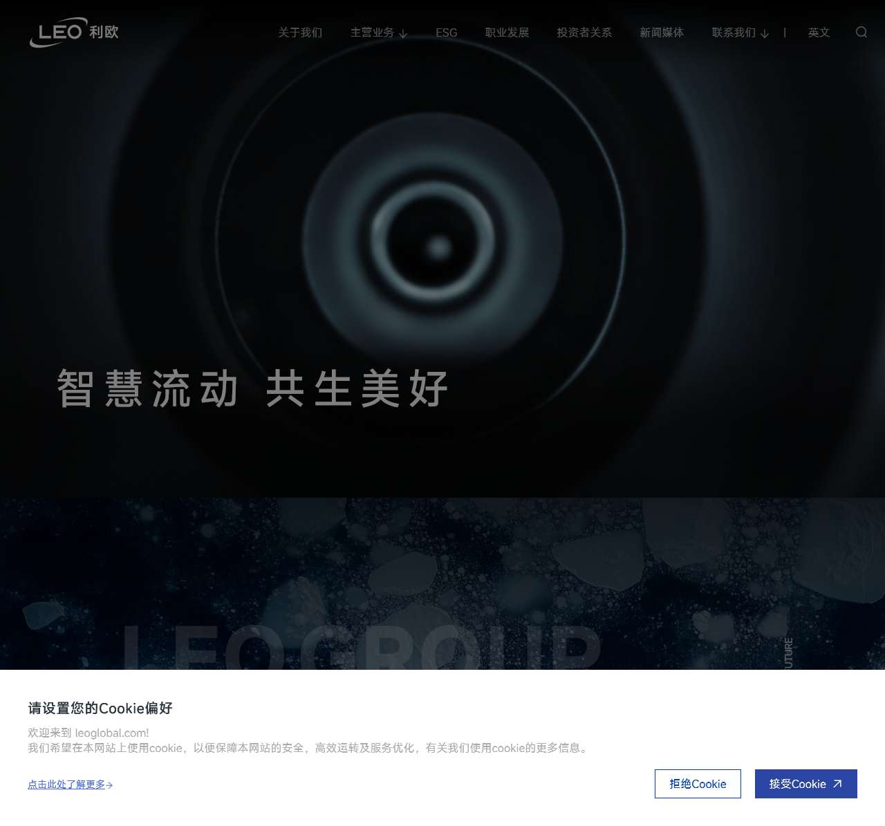 LEO Group