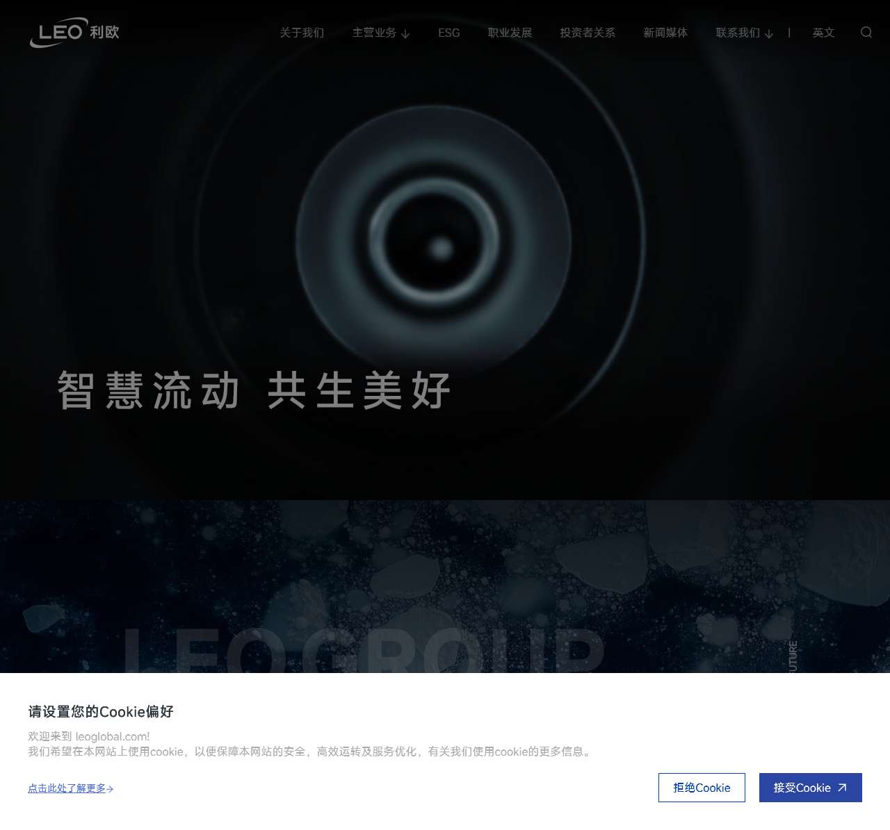 LEO Group