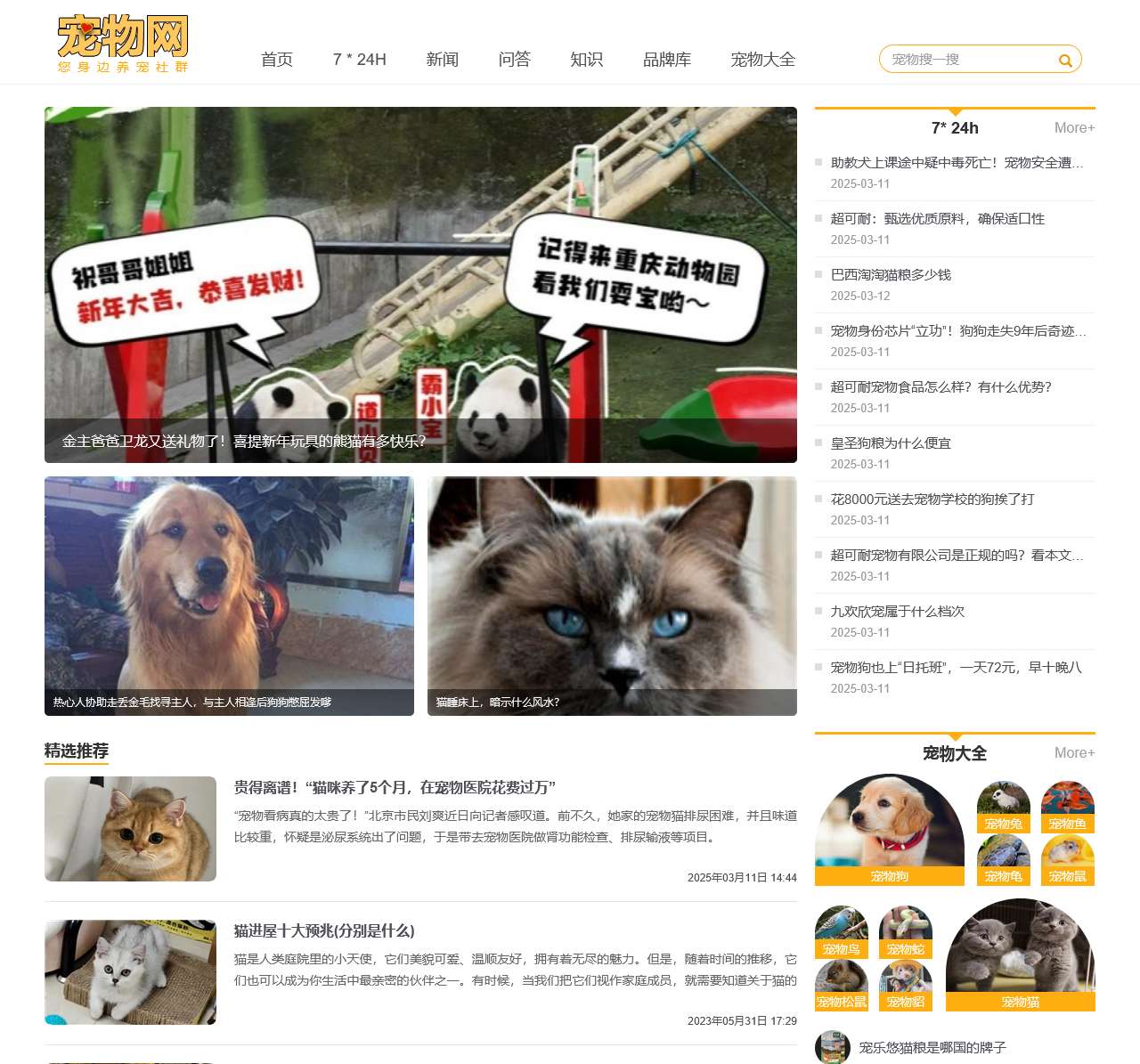 宠物网 您身边养宠社群