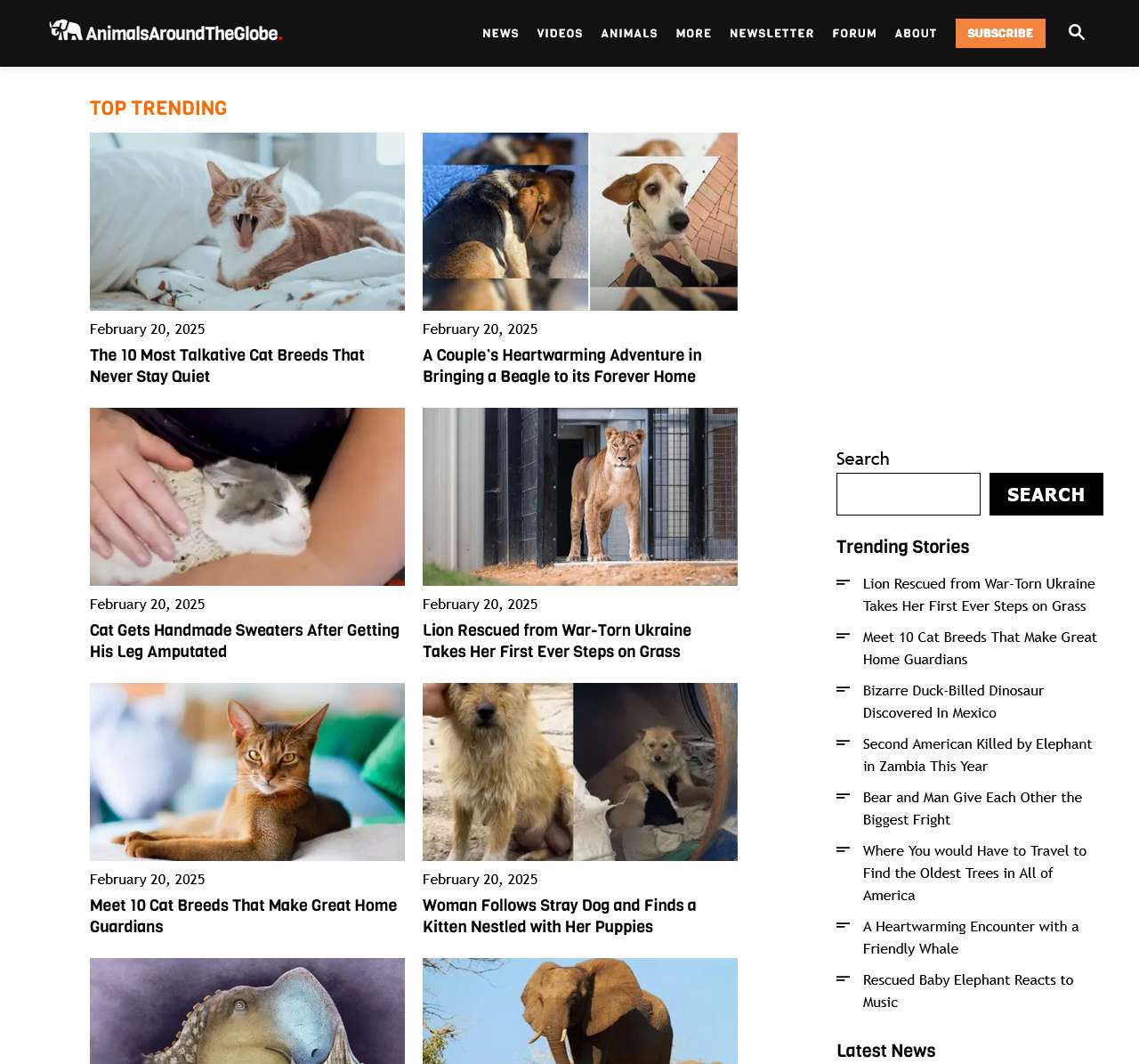 Latest News & Expert Insights from the Animal Kingdom