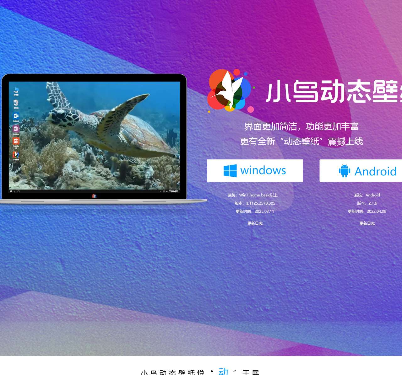 小鸟动态壁纸官网——动态桌面壁纸下载